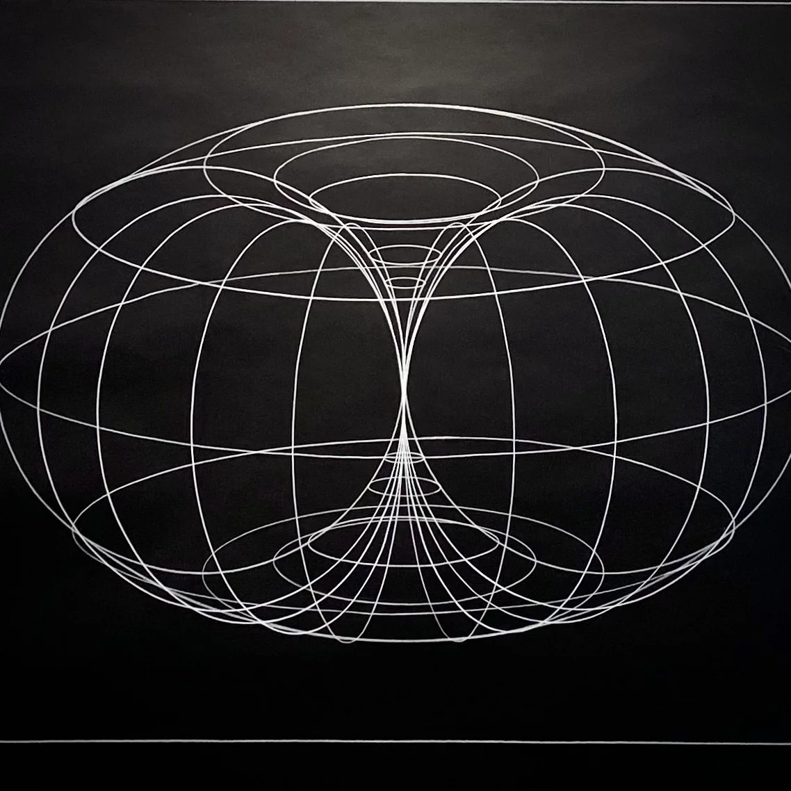 WE ARE AS GODS: How to create your own torus universe in five easy pieces…