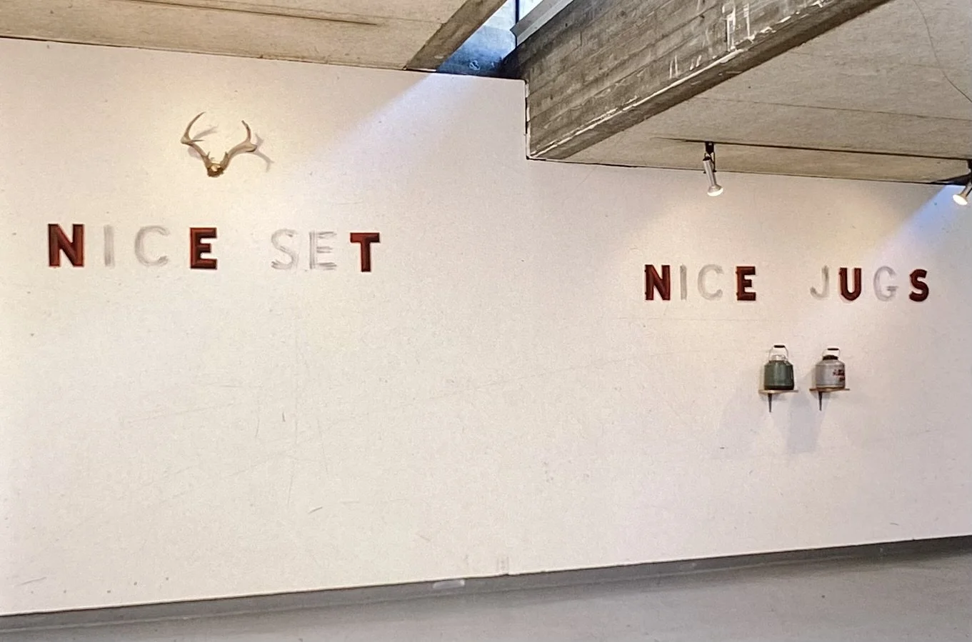 Nice Jugs/Nice Set, SF Art Institute, 1991