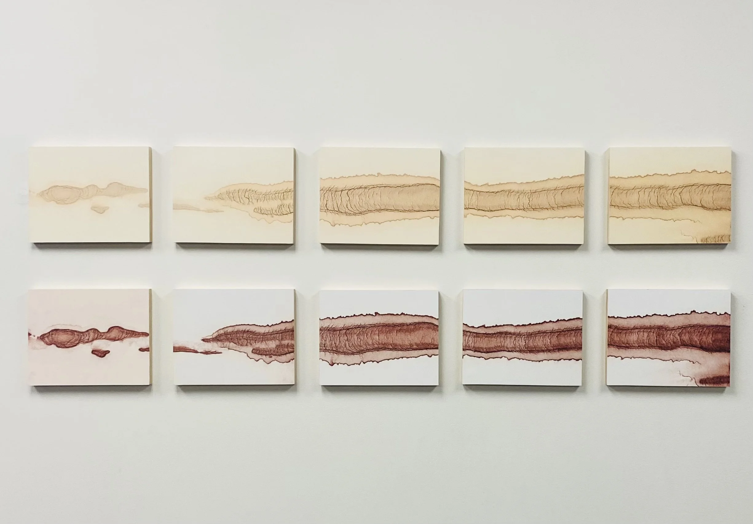 Archipelago 5 panel series (original or sepia), archival prints on panel, 8" x 60" x 1", ed. of 5, $1,400 per set