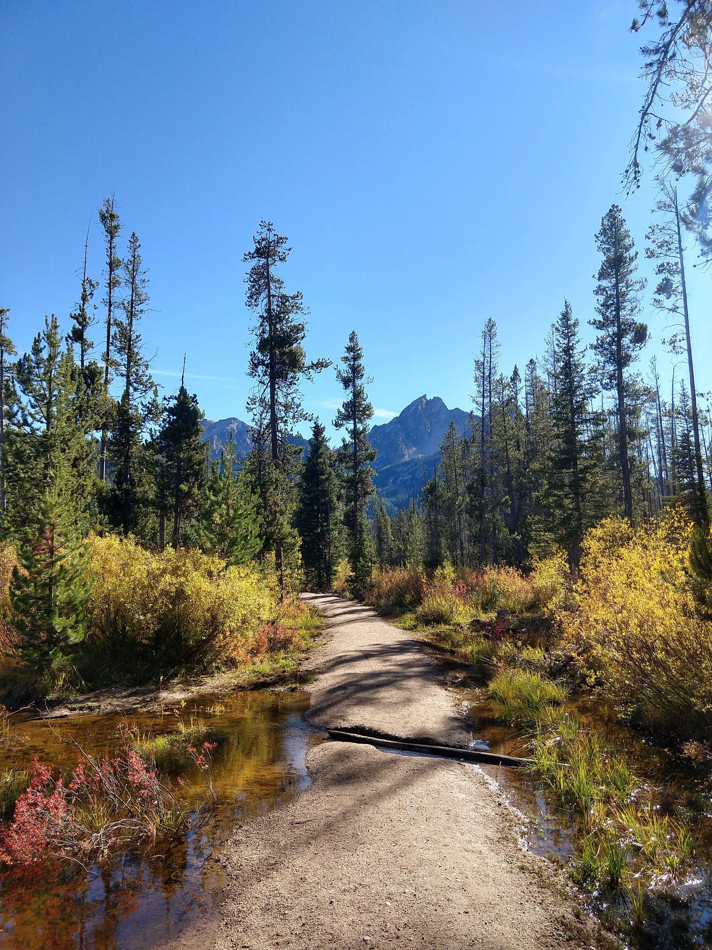 IMG_20200928_160147884_HDR.jpg
