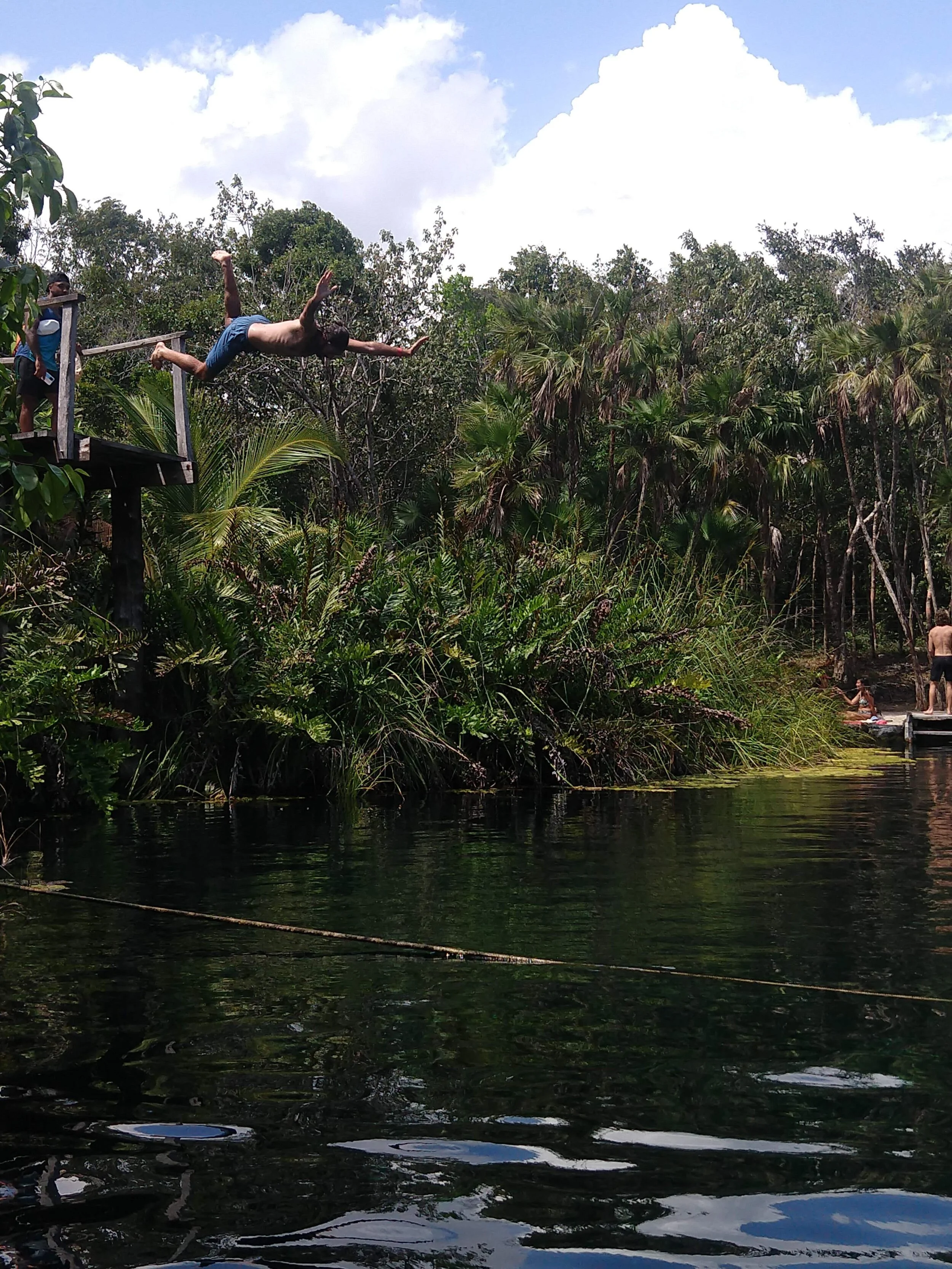 5 out of 10 for form