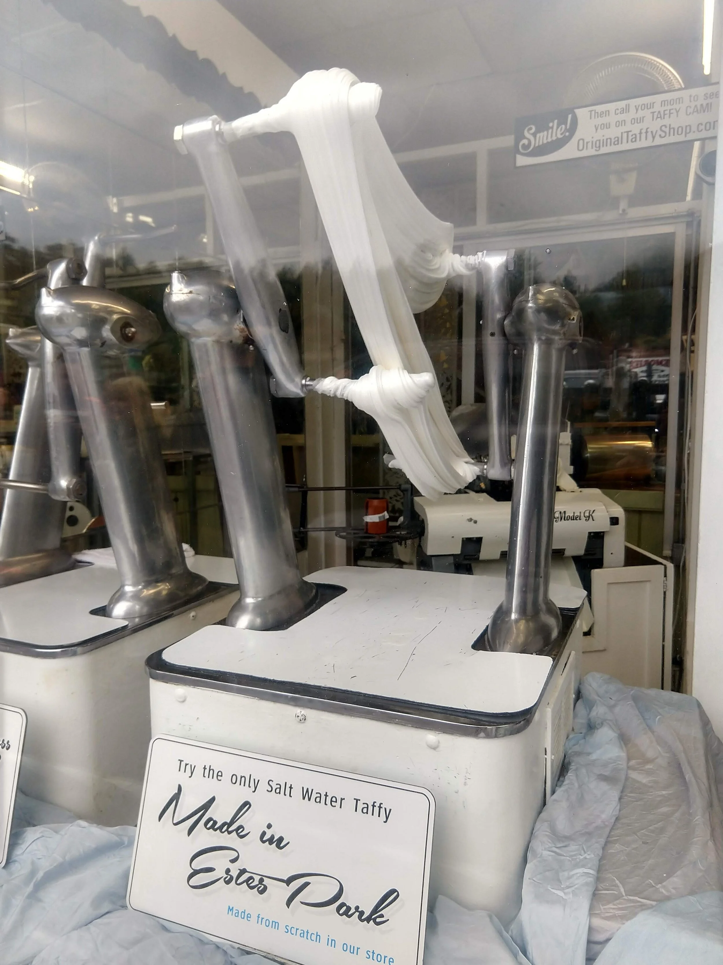 Taffy dreams in Estes Park