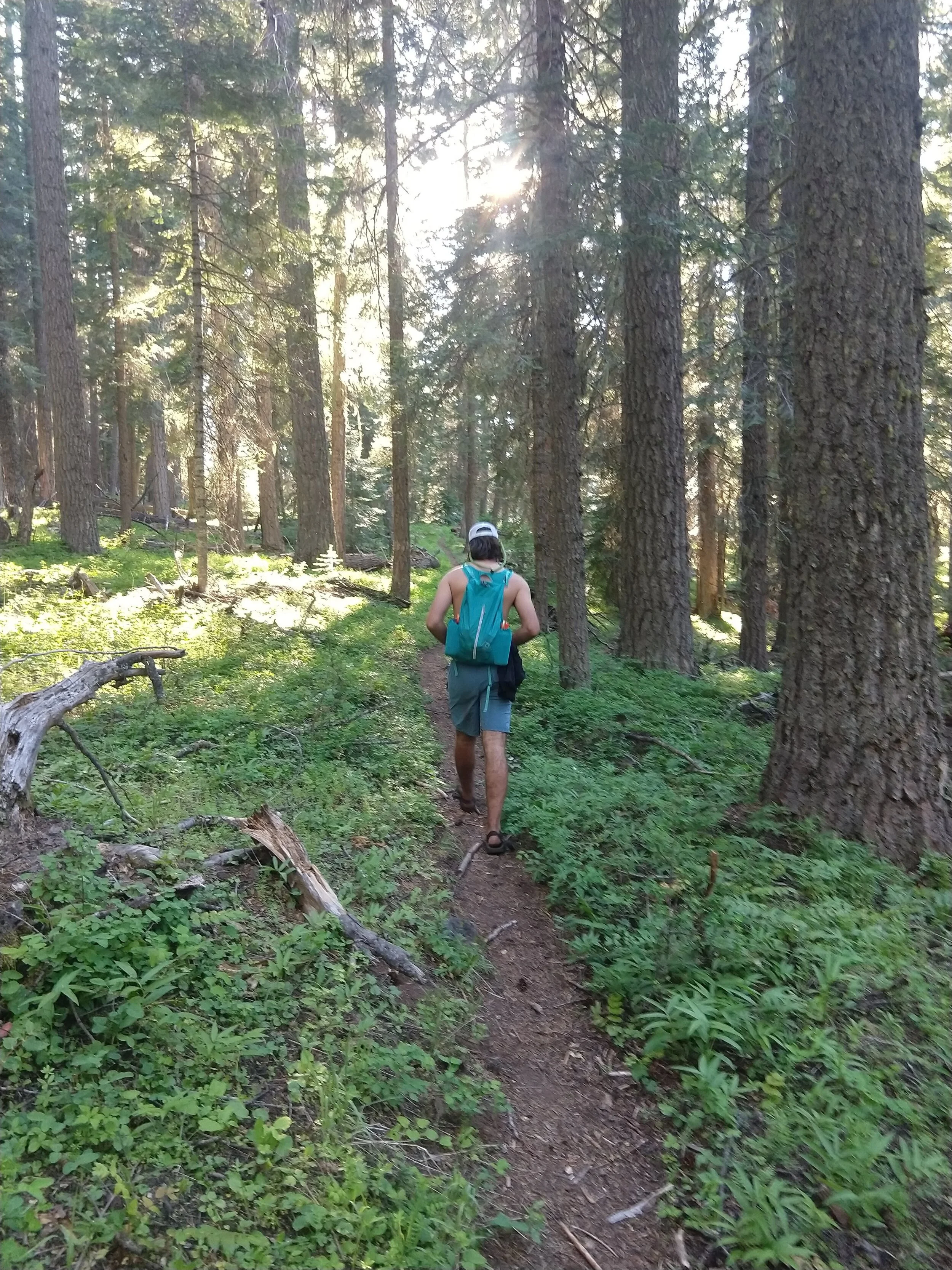 Accidental 16 mile hike day - tops off