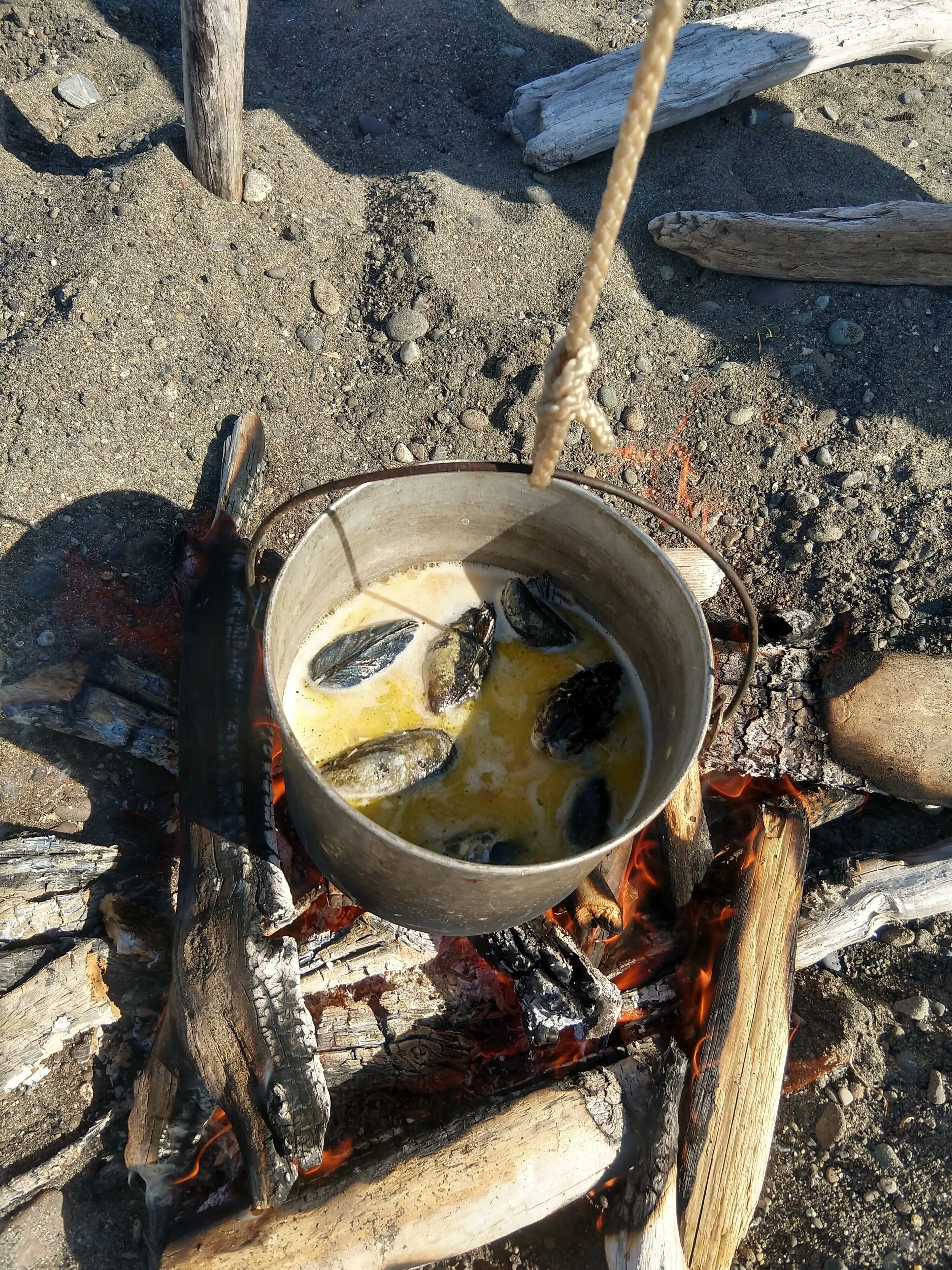 Fresh harvested muscles for lunch!