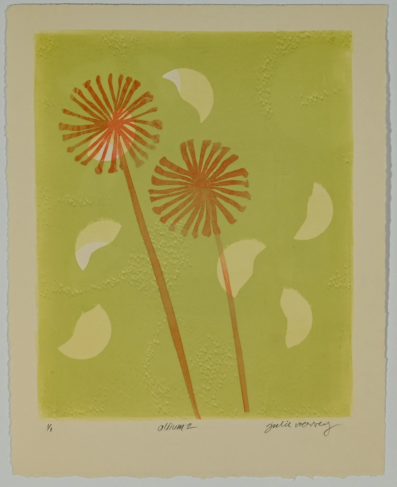 PAPERCROPPEDAllium2.jpg