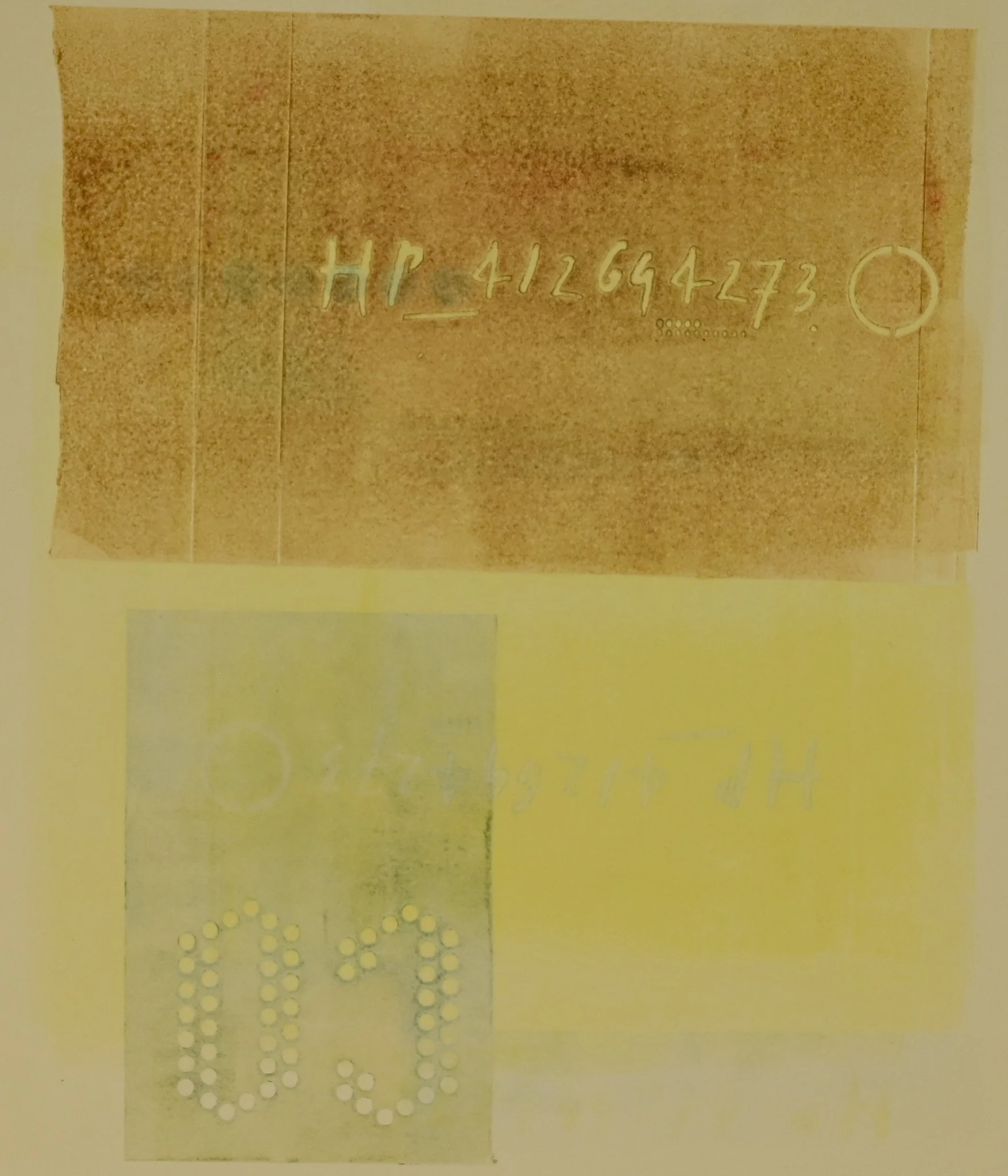 CROPPEDCO-1.jpg