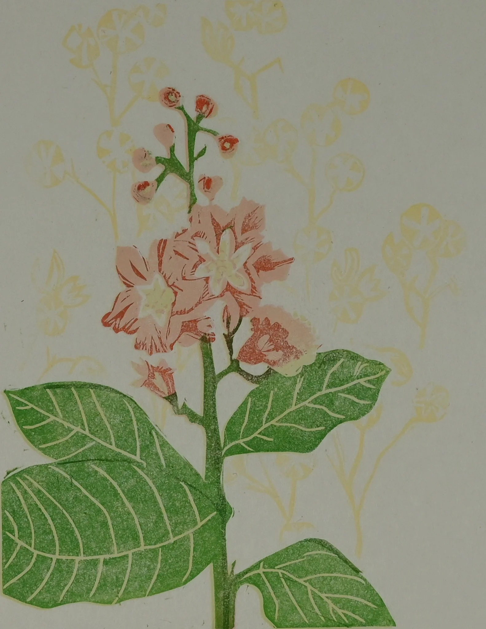 CROPPEDCrepeMyrtleYellow.jpg