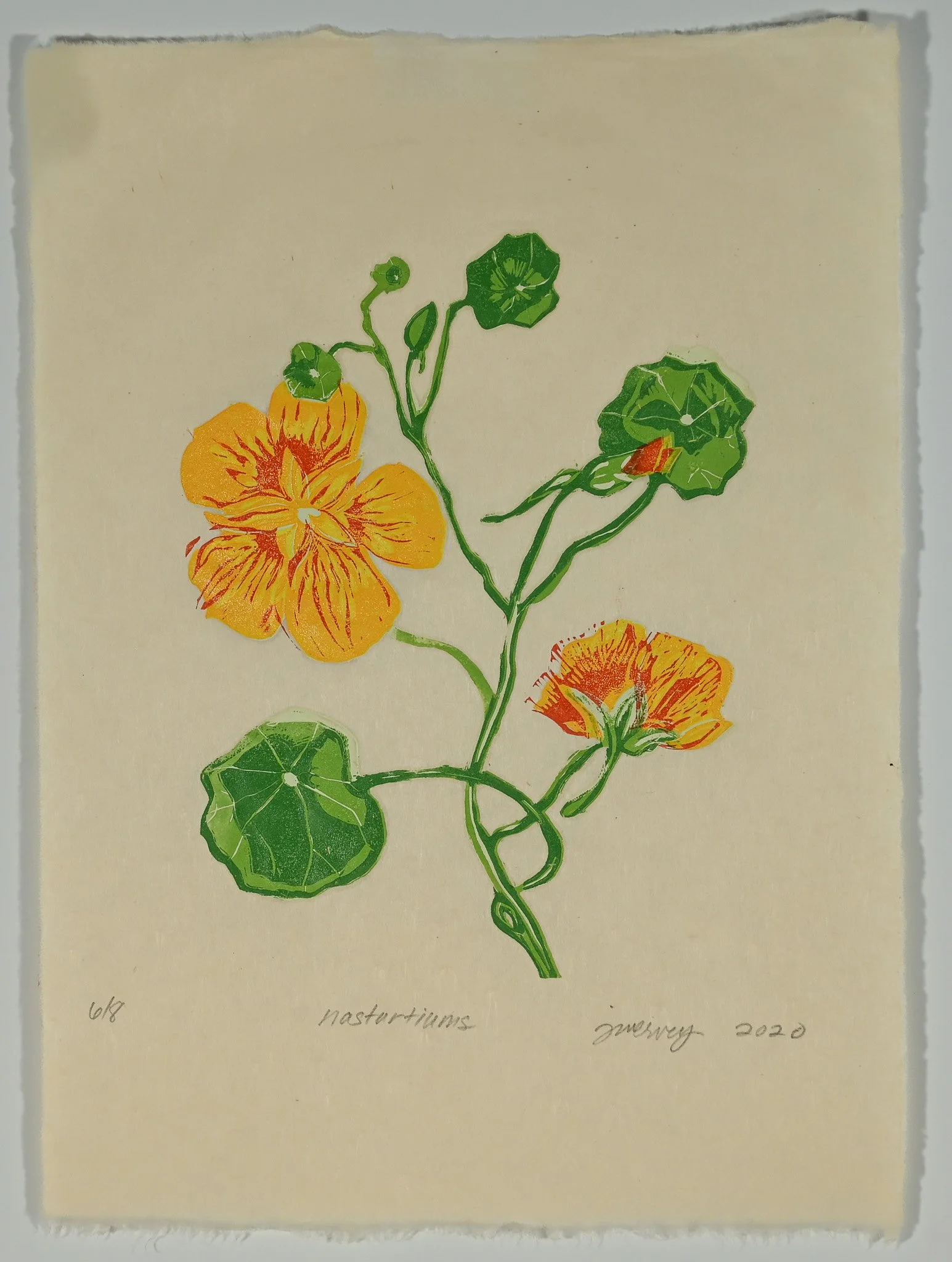 PAPERCROPPEDNatertiums.jpg