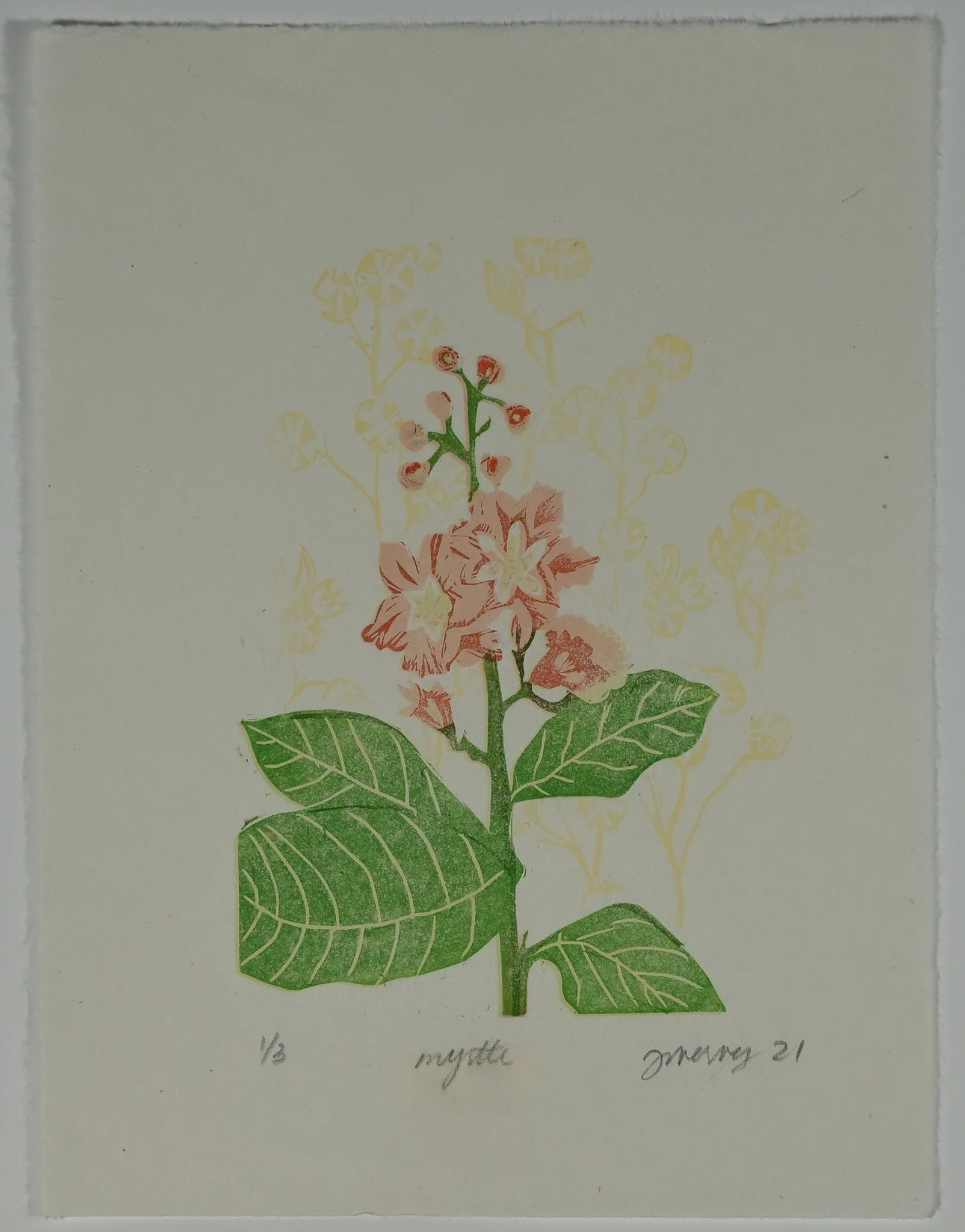 PAPERCROPPEDCrepeMyrtleYellow.jpg