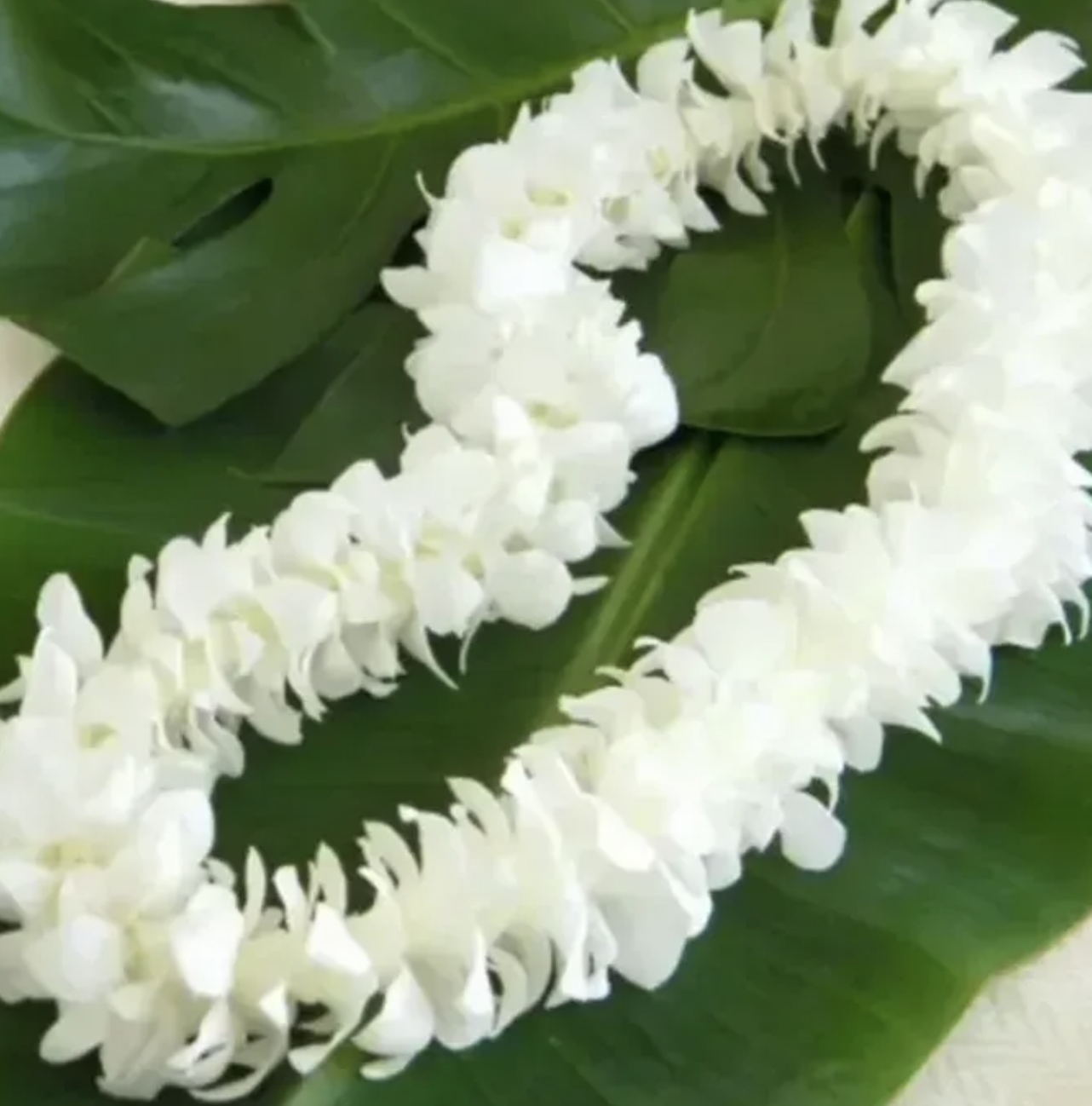 Screenshot 2025-05-01 at 9.45.04 AM.png