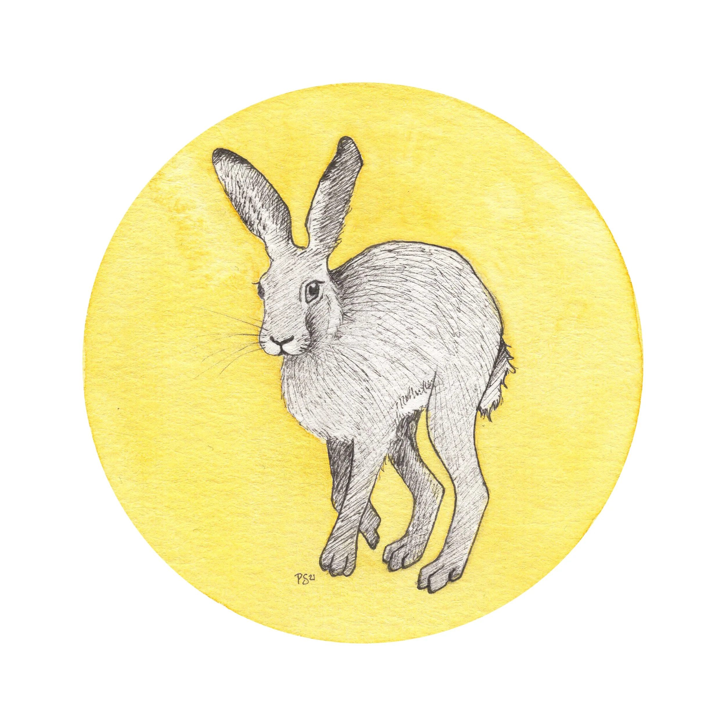 12_Ink21_Hare.jpg