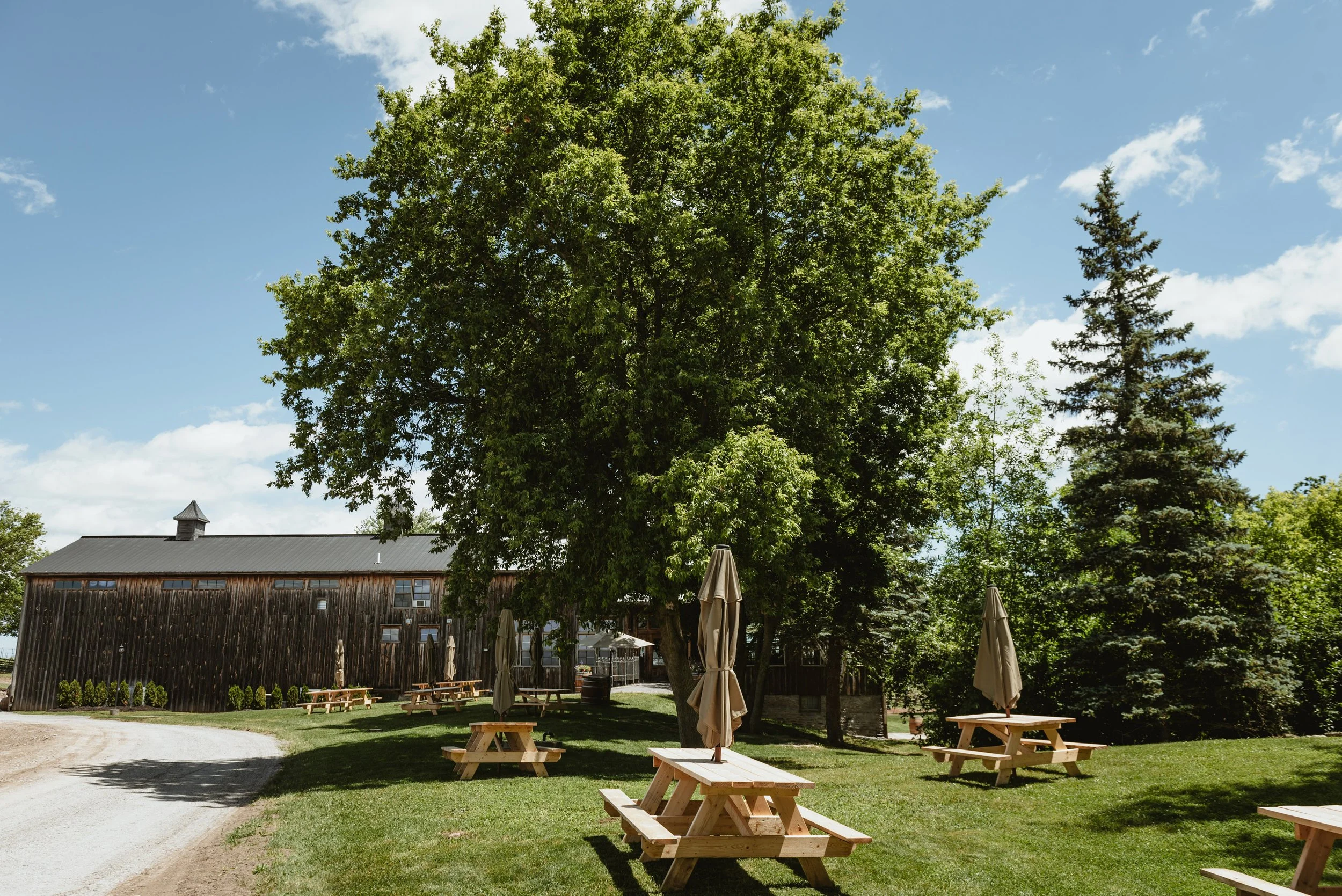 Grange of PEC Winery Picnic Lawn.jpg