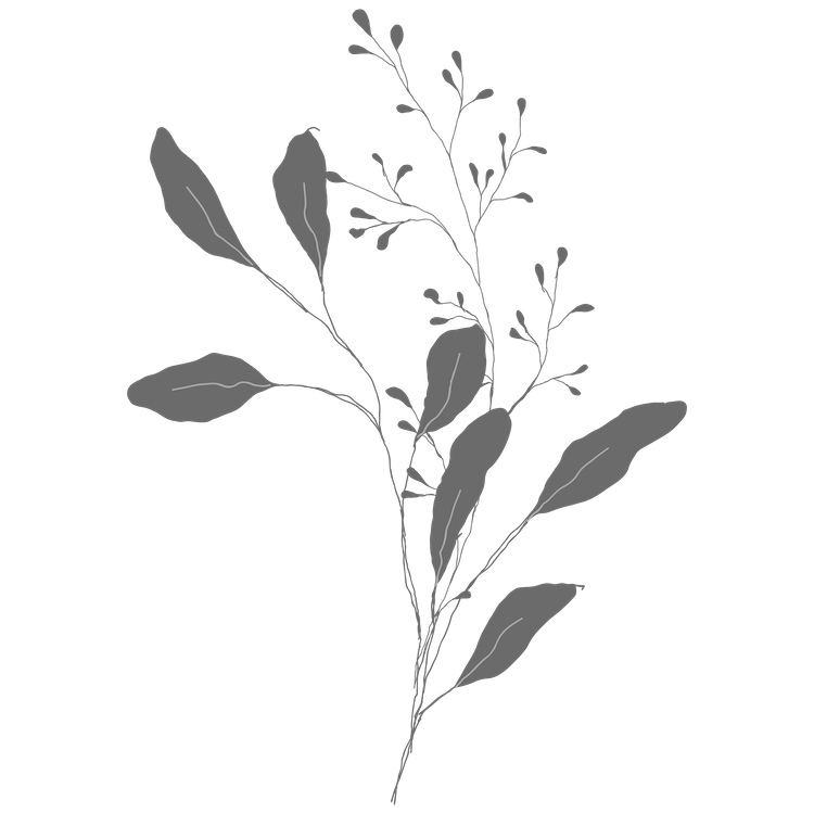 bouquet-06.png