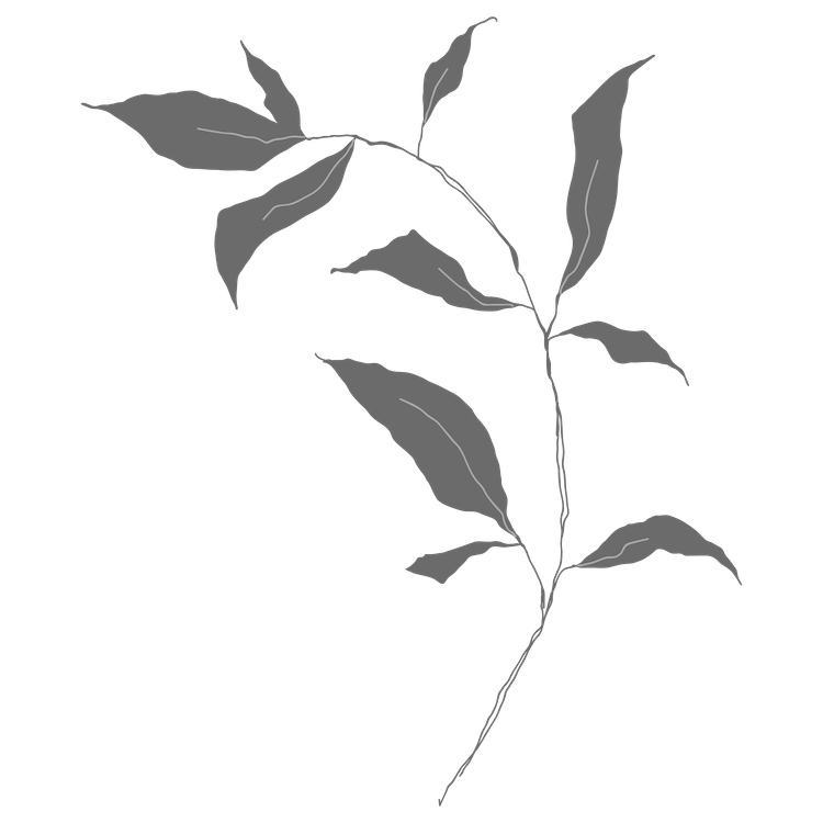 silhouette-element-05.png