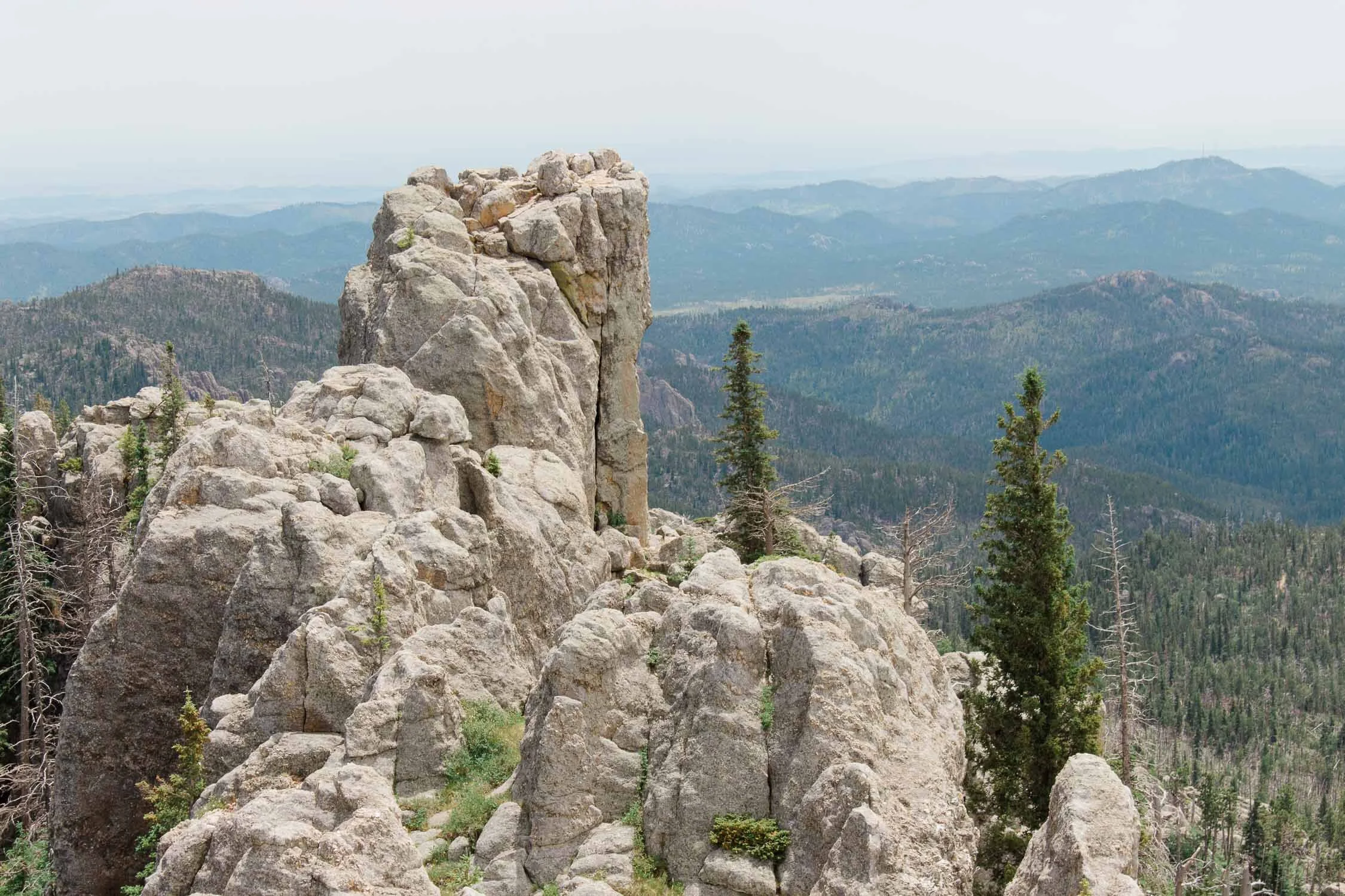 The Black Hills and Grand Teton Travel Photography