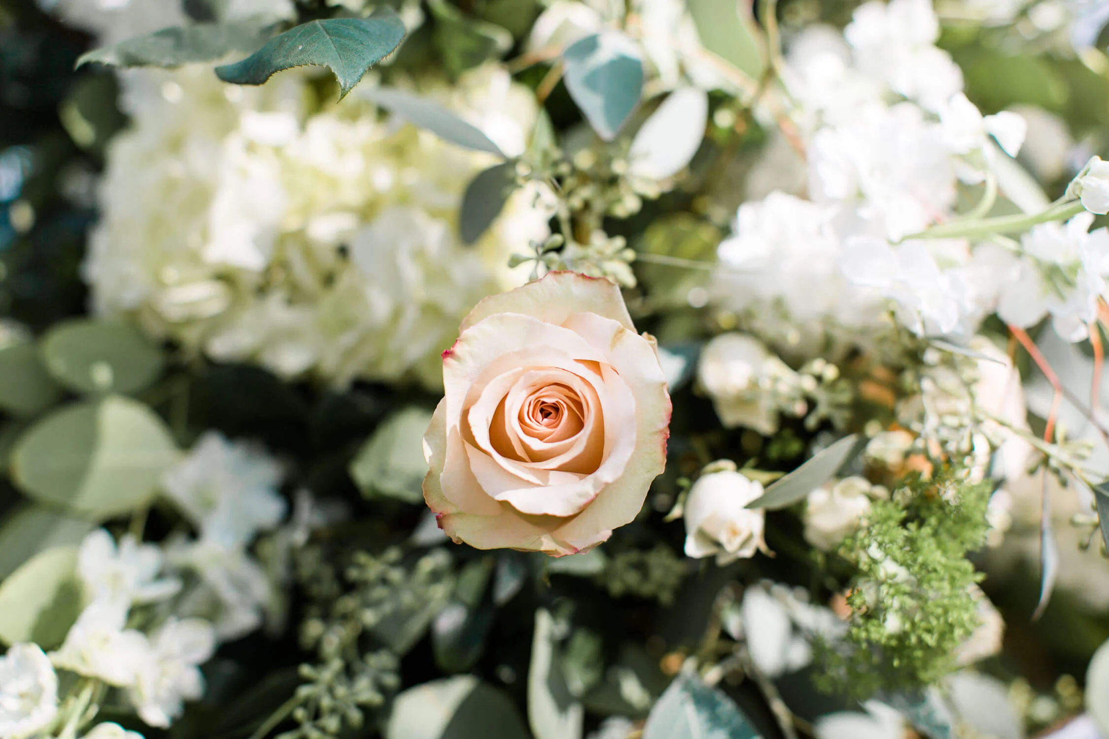 Details03.jpg