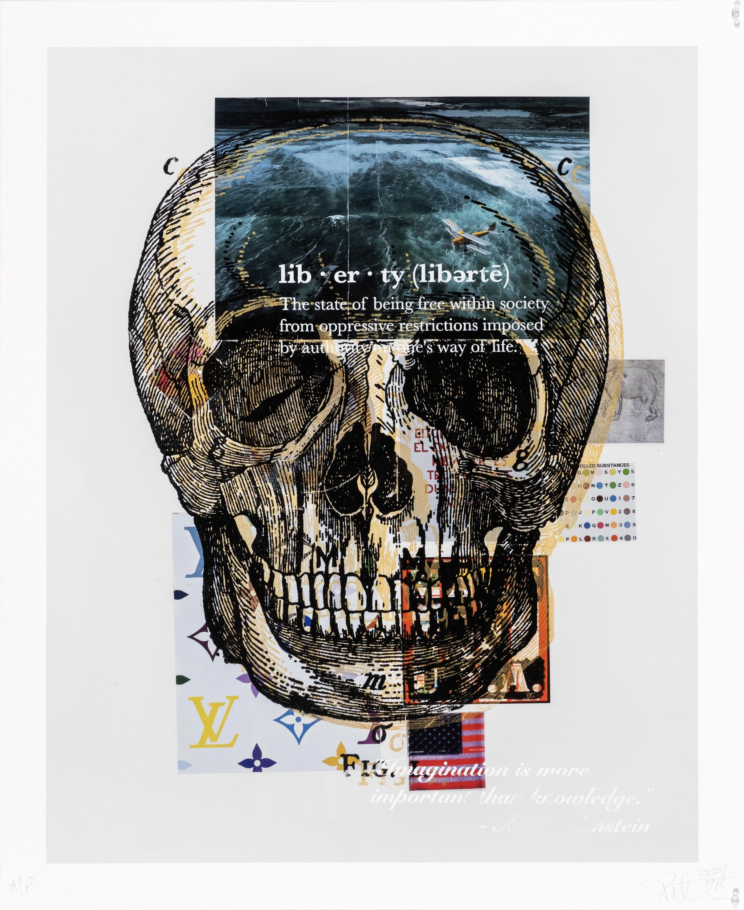 Art print featuring a large skull with an ocean scene and a small airplane inside the top of the skull, overlaid with the word 'liberté' and its definition, along with other decorative elements and quotes.