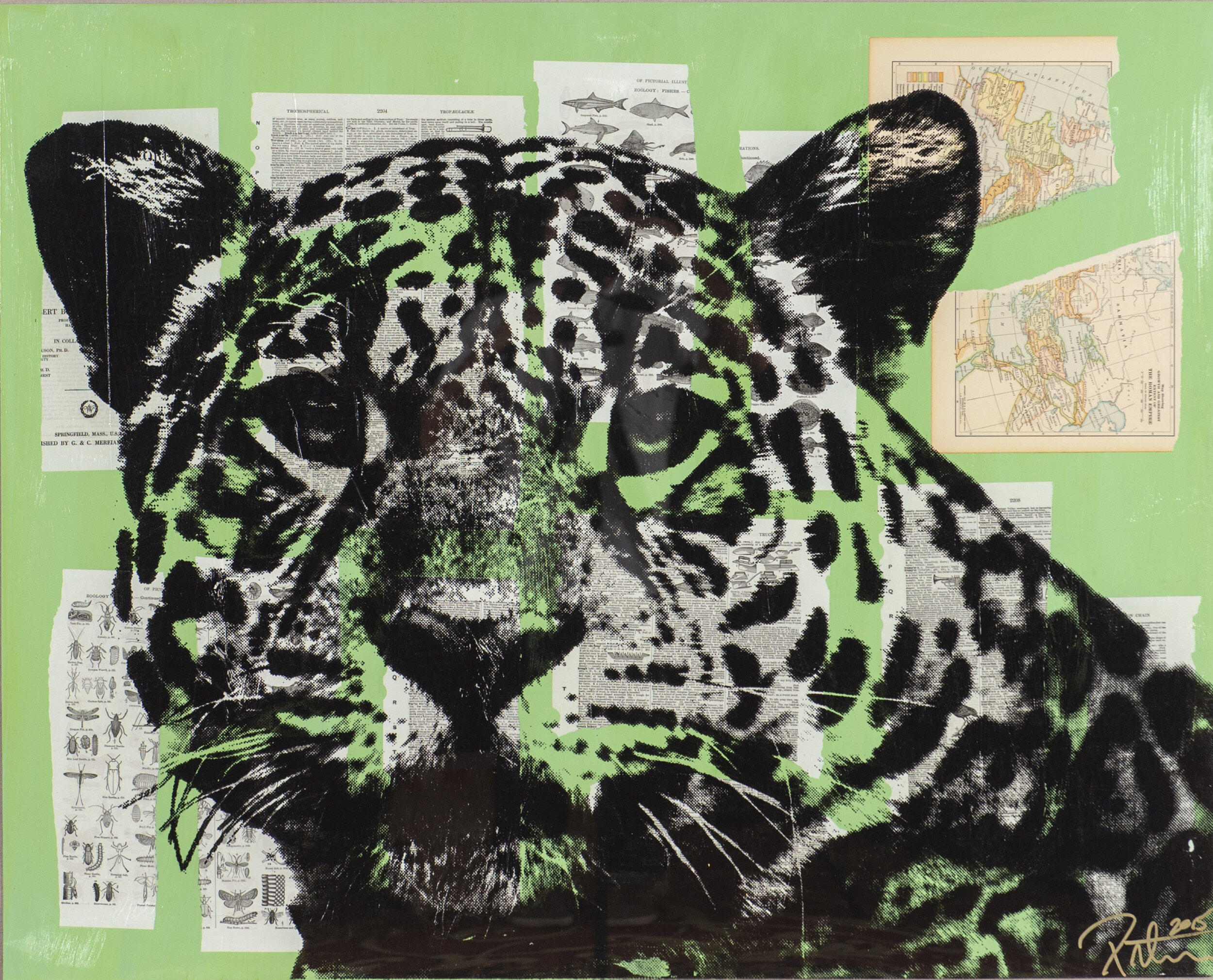 An art piece featuring a black and white tiger's face with a green background, collage-style with pages of text, maps, and diagrams.