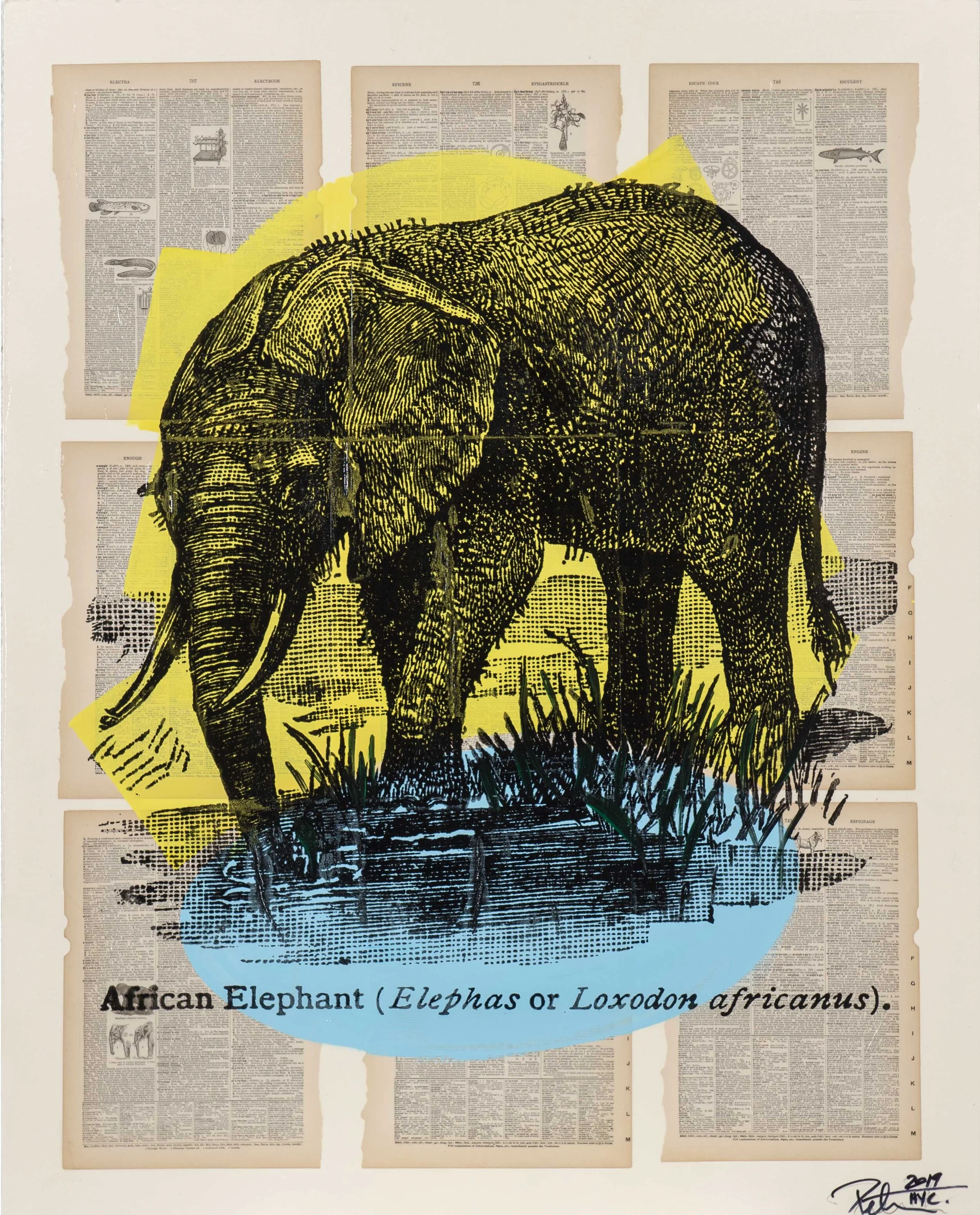 An artwork of an African elephant in black with yellow highlights, standing in water with grass, displayed against a collage of vintage newspaper pages.