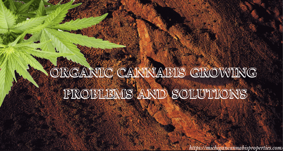 Organic Cannabis Growing Problems And Solutions