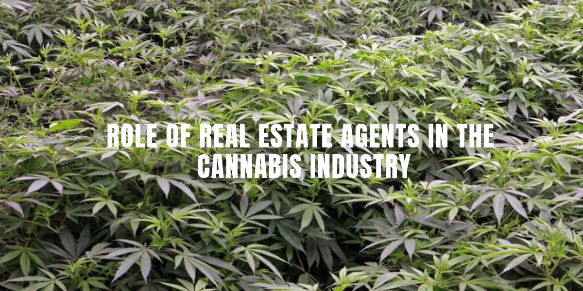 Role Of Real Estate Agents In The Cannabis Industry
