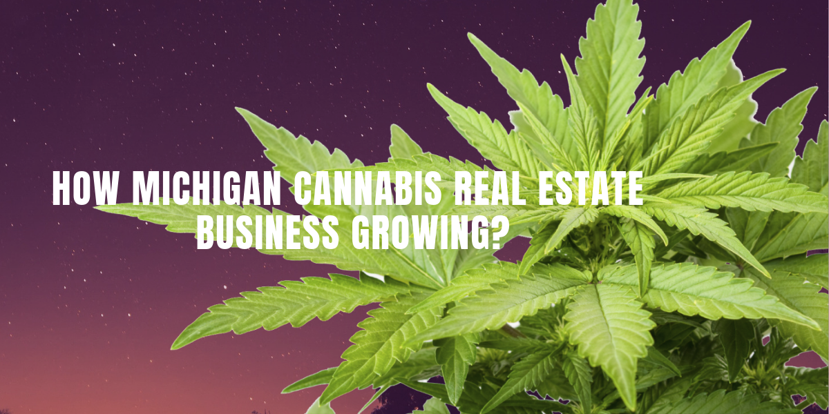 How Michigan cannabis real estate business growing?