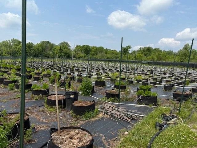 Nearly Turnkey Outdoor and Indoor Saginaw Cannabis Grow