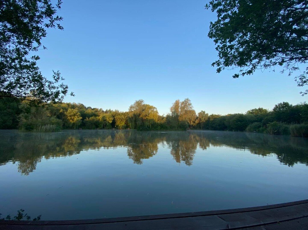 Morning everyone 🎣☀️

It&rsquo;s an early start today doing the MUD FREE path from swims 4 to 5 on the Bottom Lake then Swim 5 will start construction today. It&rsquo;s beautiful down here this time of a sunny morning 😍

Hope you all have a great M