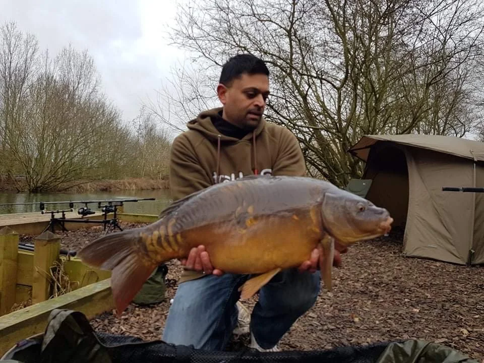 SWIM: 4 |
FISH: MIRROR |
WEIGHT: 18LB 12OZ   |
BAIT: CELL DUMBELL WAFTER, SOLID BAG  |
MEMBER : CHIRAG PATEL  |
DATE: 28/01/22 |