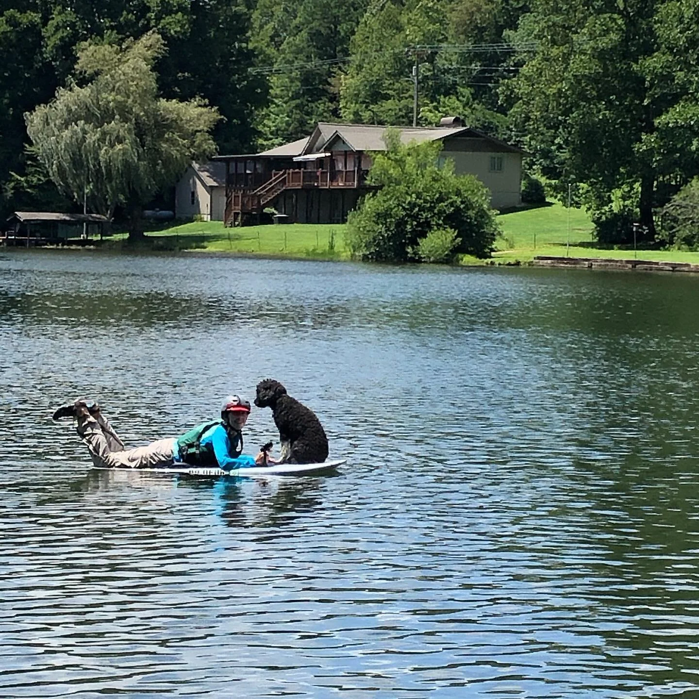 Morgan and &ldquo;Socks&rdquo;, her Portuguese Water Dog.

#efoil