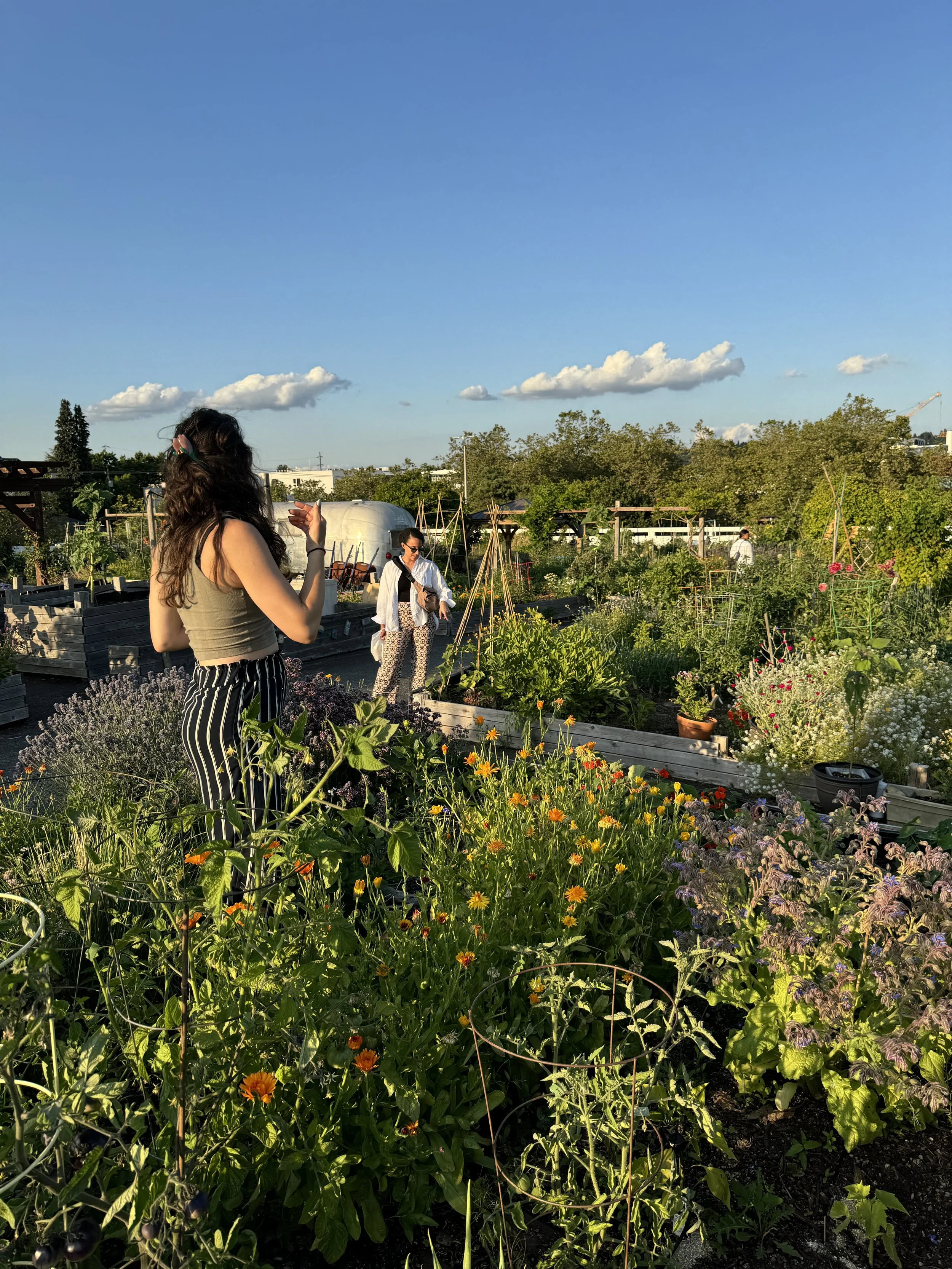 People in a community garden surrounded by lush, colorful flowers and greenery on a sunny day.
