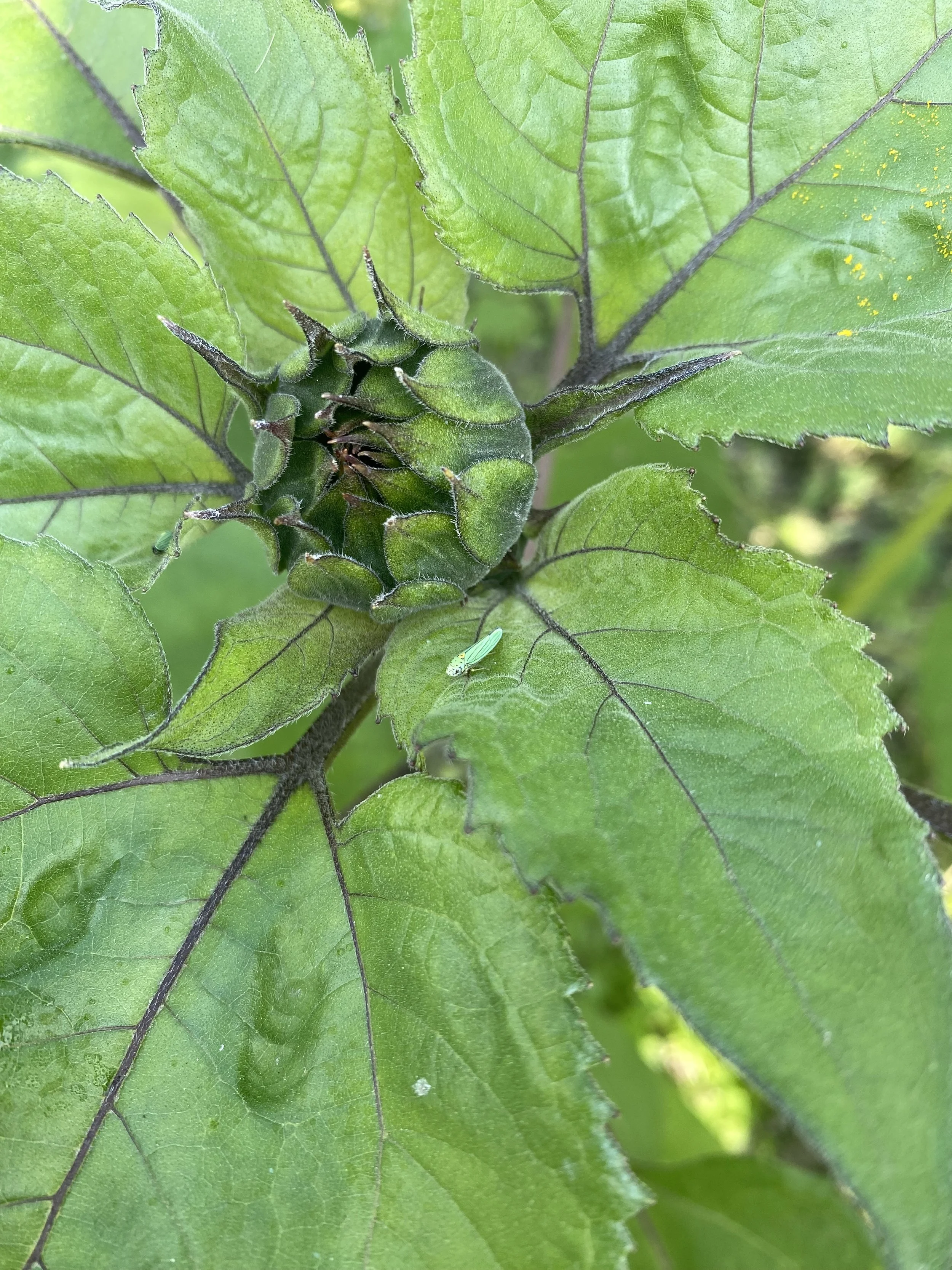 60-Minute Consultation