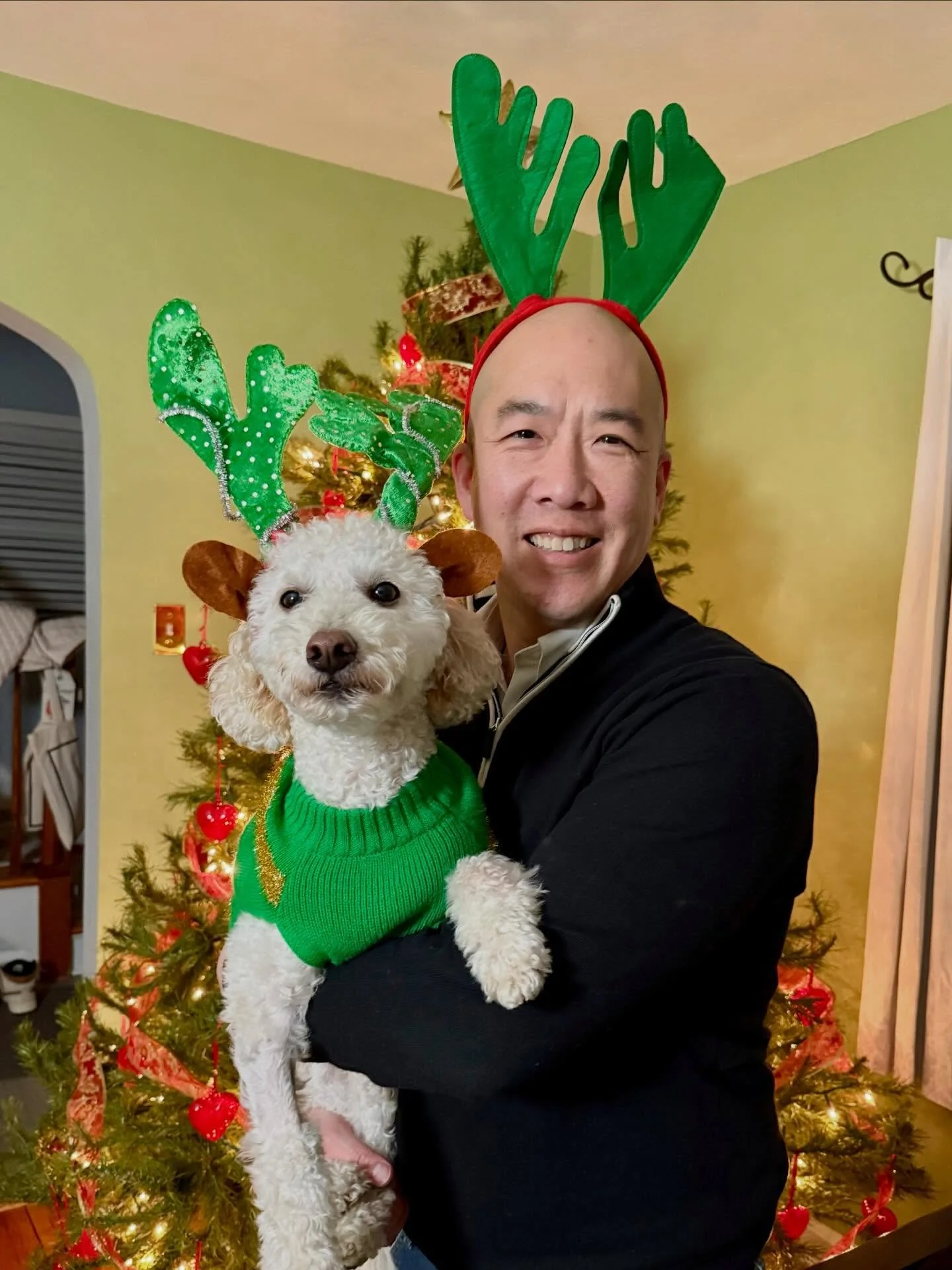 Tree trimmed and reindeer poppin&rsquo;
#christmastraditions