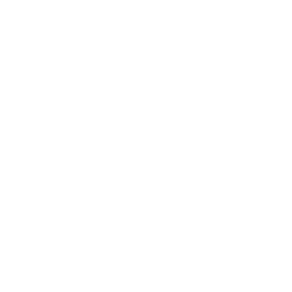 Reno Chamber Orchestra