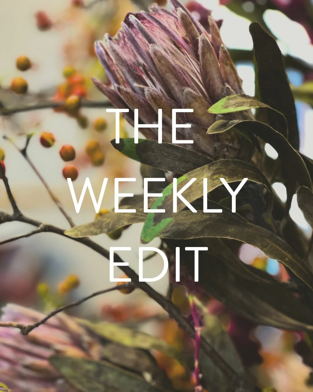 Technically this week&rsquo;s edit includes a bit of last week but I figured no one would mind.  enjoy! 

We were back at one of our favorite houses, installing some new pieces.  This home keeps getting better with age.  Shutters were added a few mon
