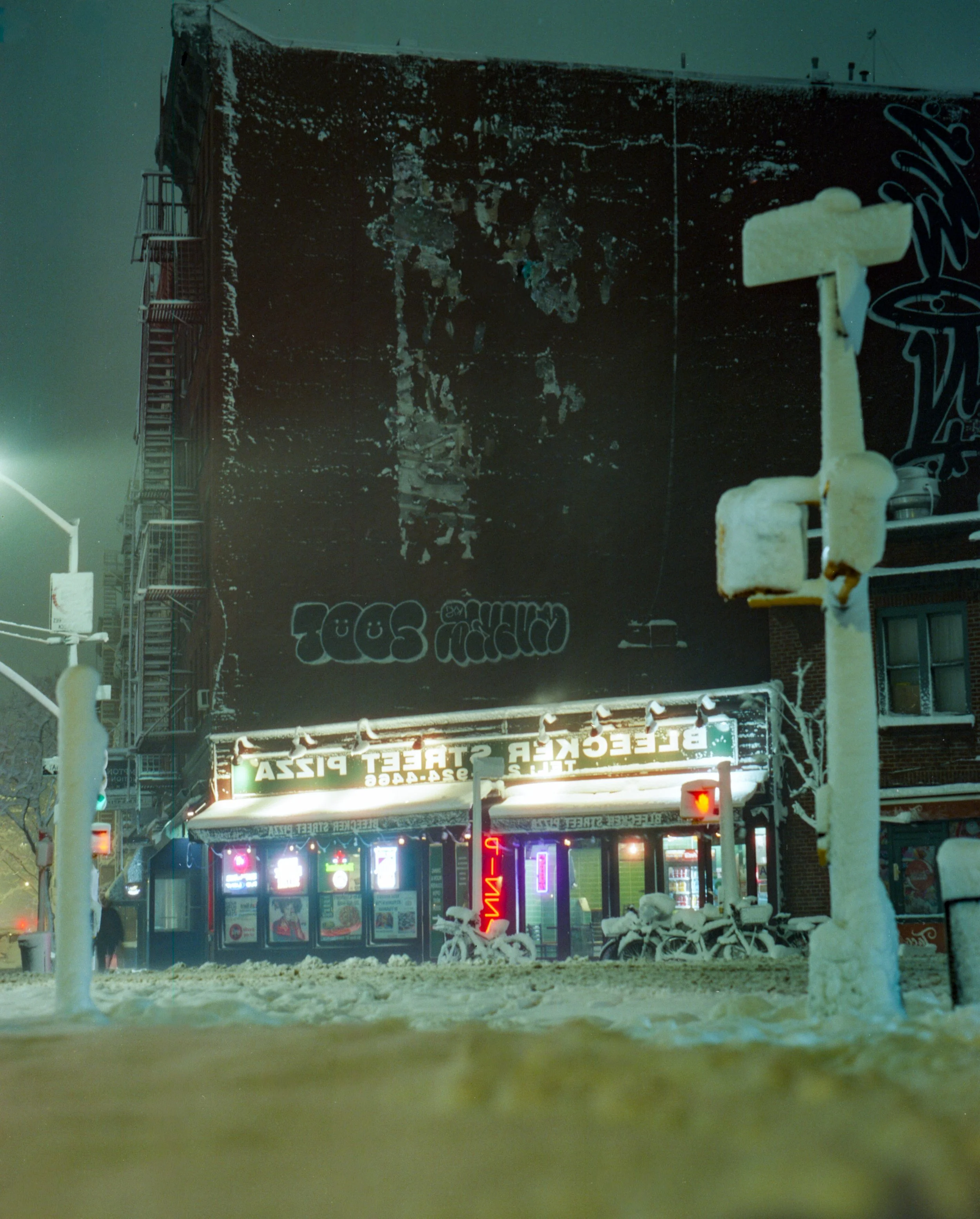 blizzard bleeker 1.jpg