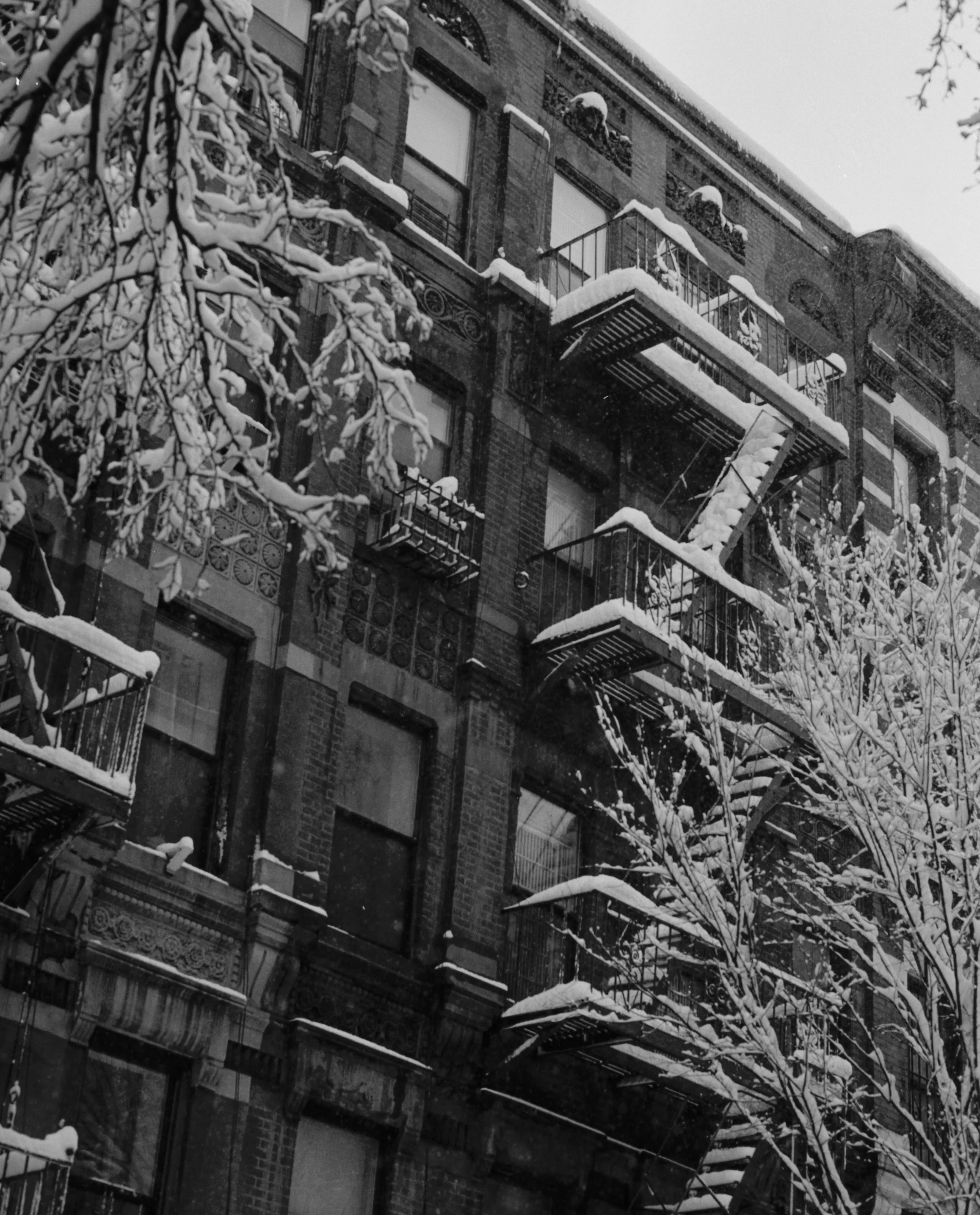 blizzard fire escape.jpg
