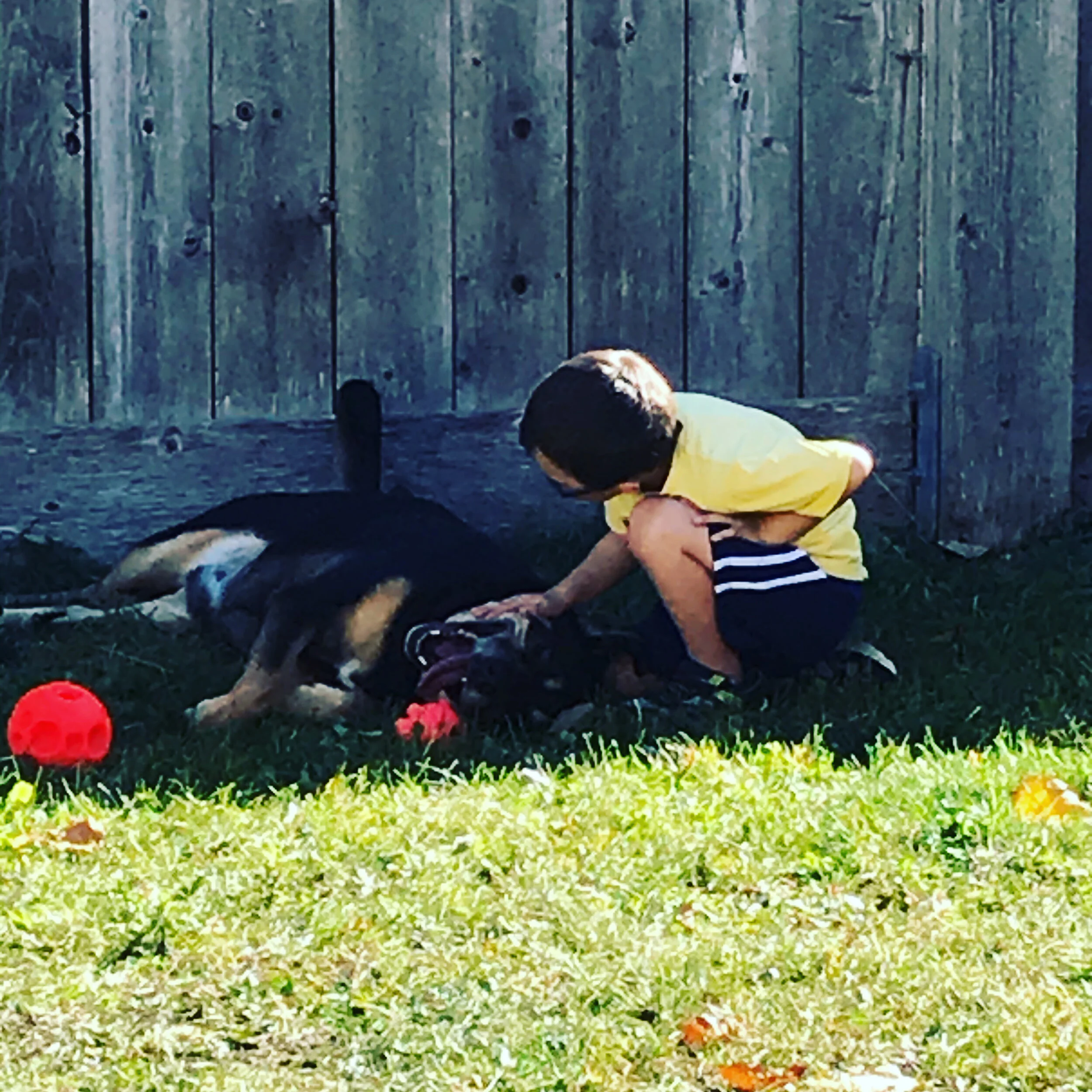 Jaxon playing with his favourite buddy, Cujo.