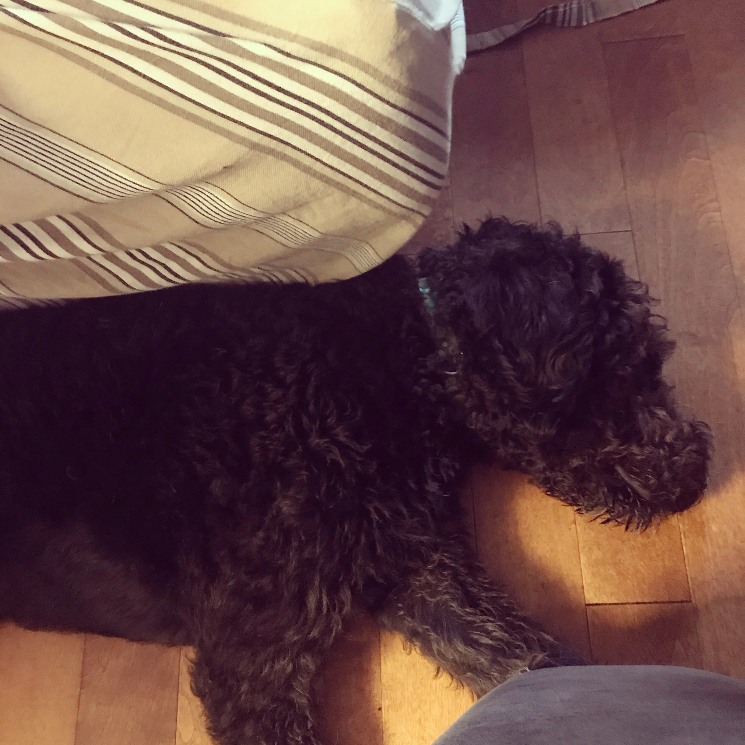 6FEA36BE-C746-4C59-8A76-02841E814EB9 (1).JPG