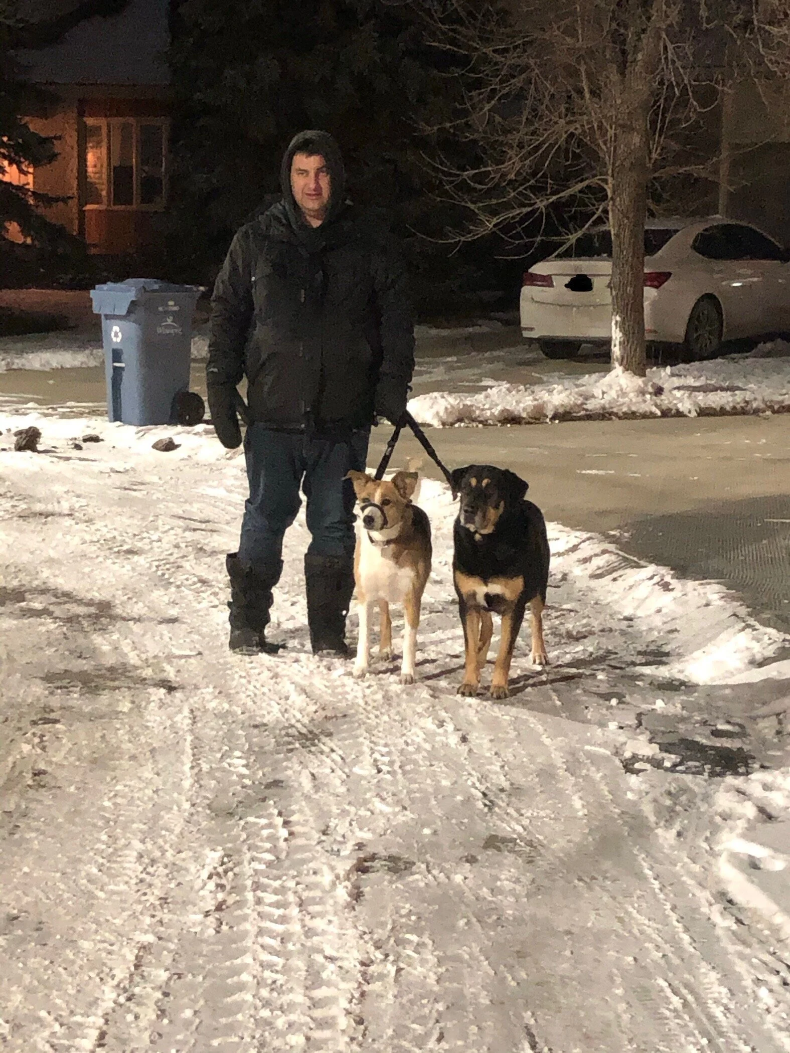 Walking our dogs.JPG