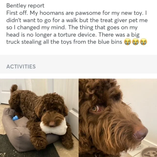 Bentley report.JPG