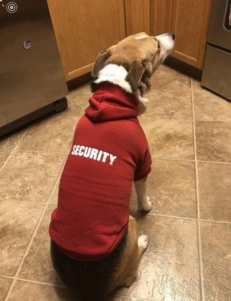 Aurora is the toughest security guard