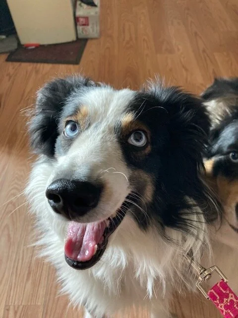 Theodore wants to go now