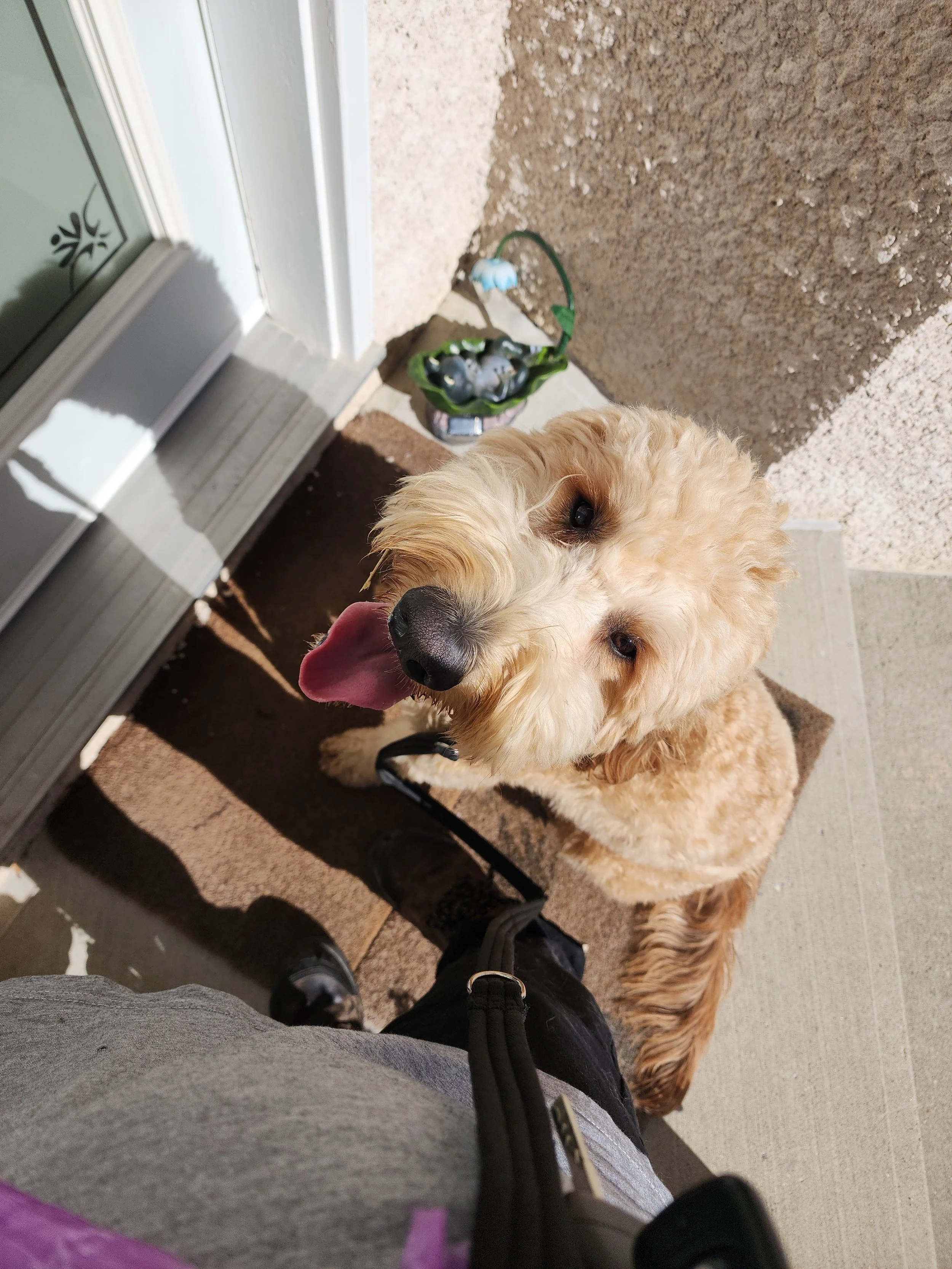 playtime-paddington.jpg