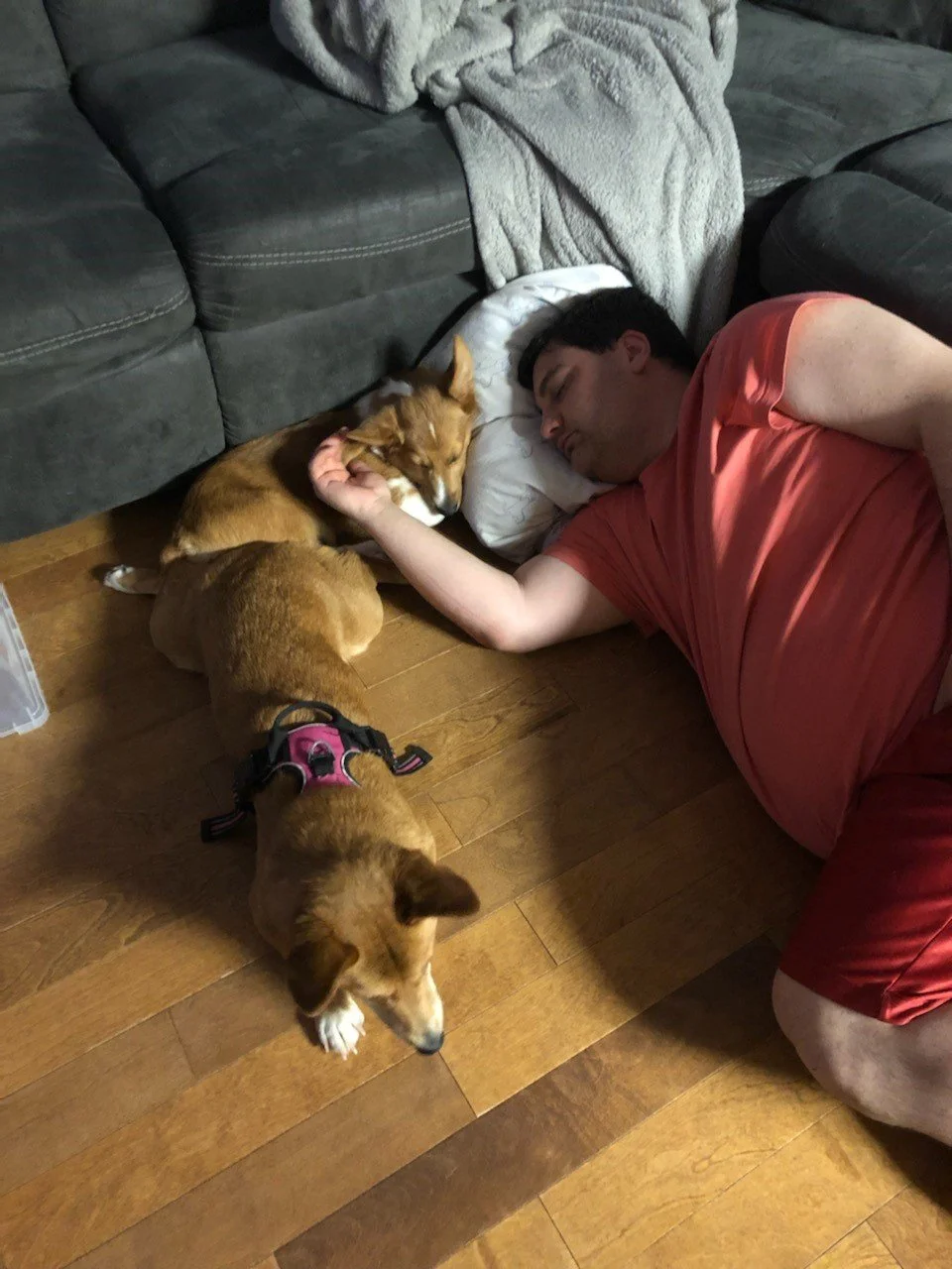 Mike catching a few z's with Aiko and Beans