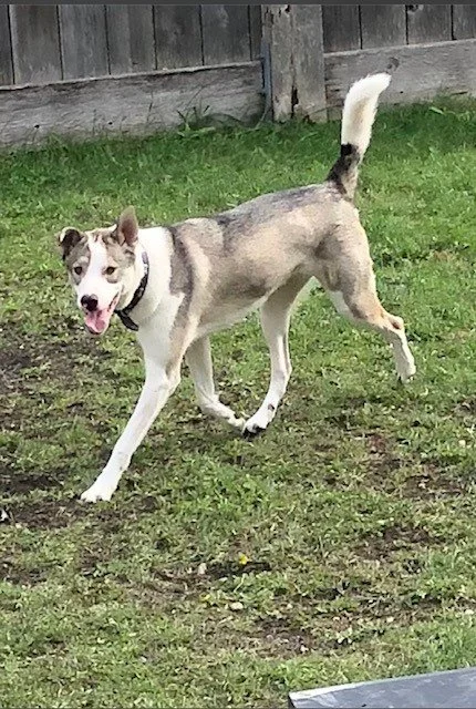 playtime-romeo.jpg