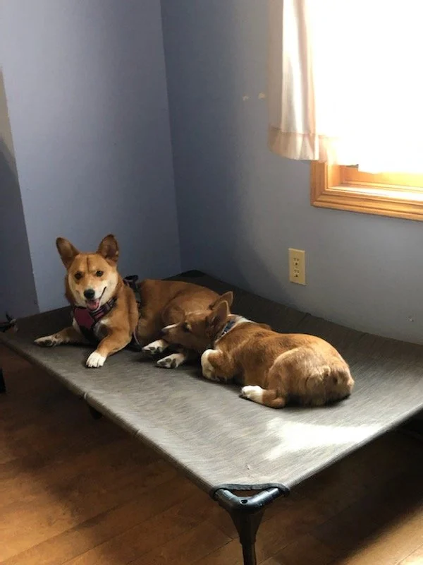 lounging-aikobeans.jpg