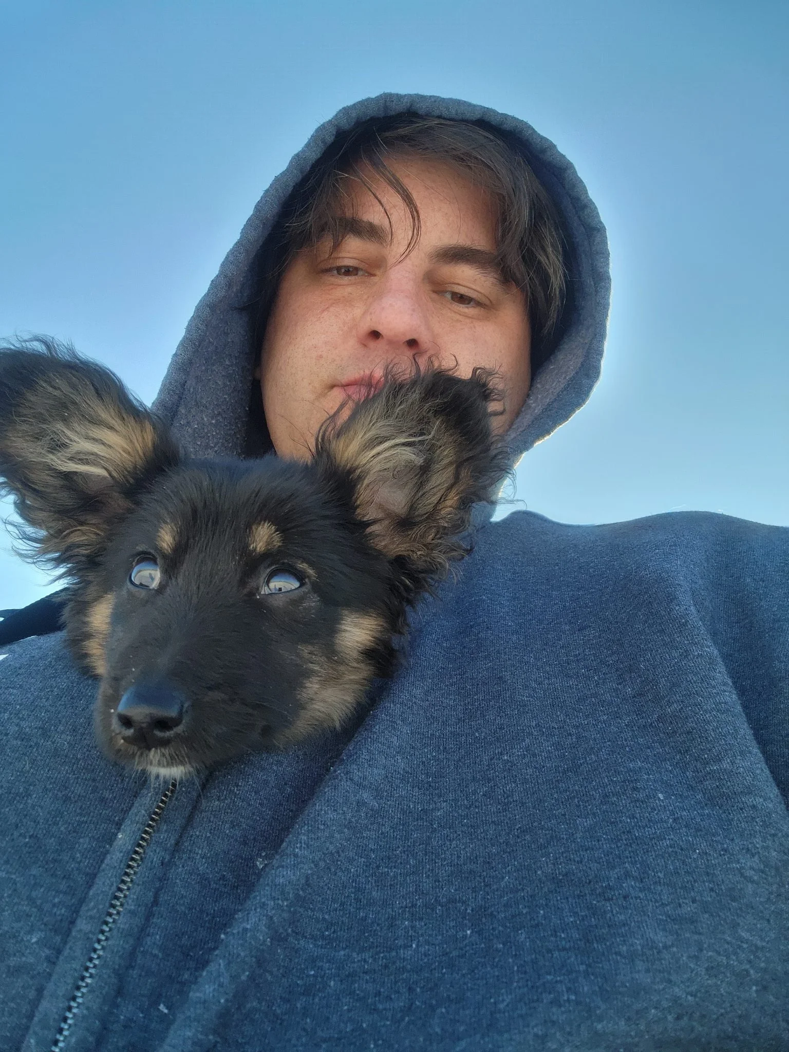 Tinkerbell was done walking, she much prefers riding in a cozy hoodie