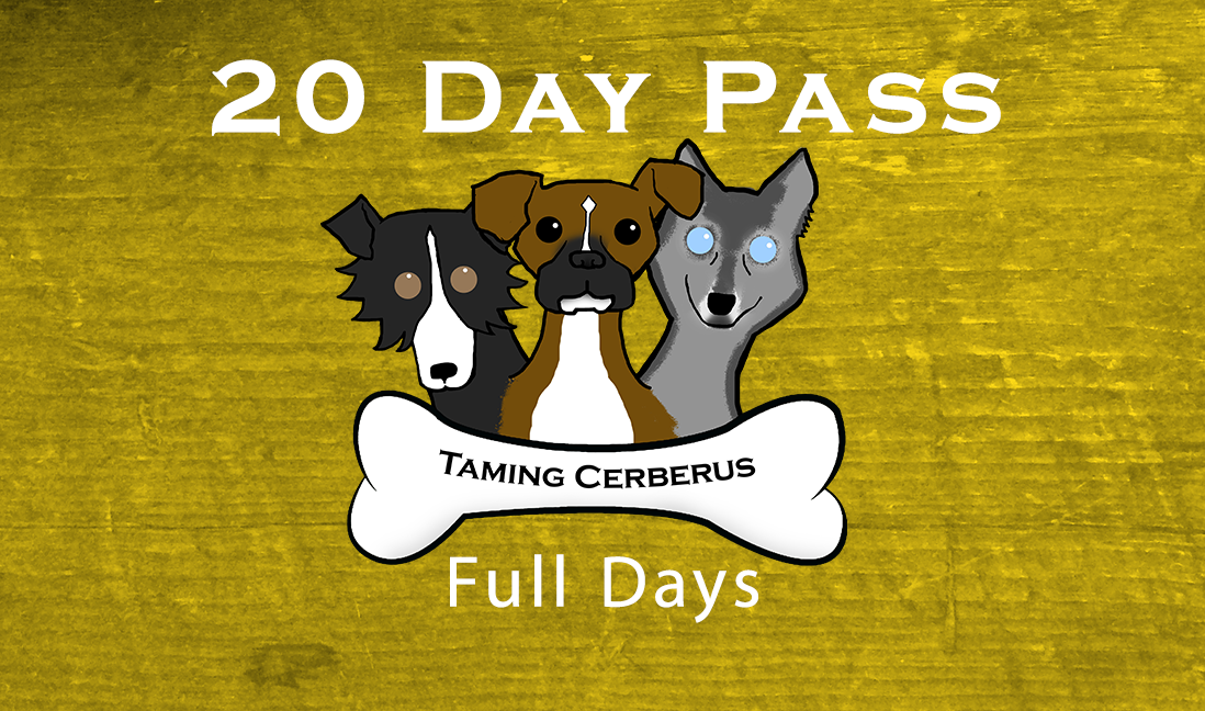 20 Day Package - Full Days