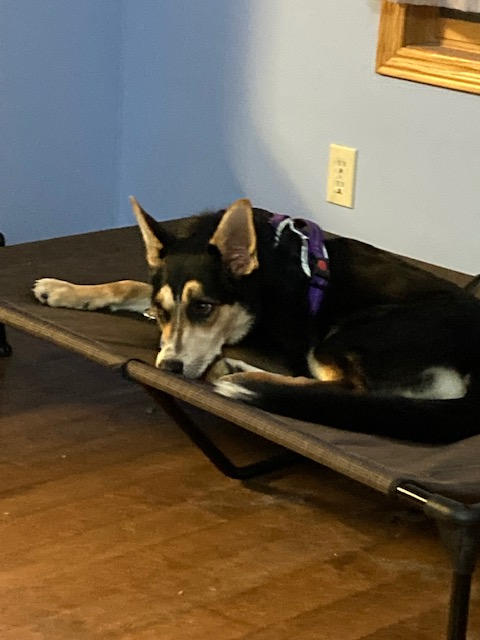 lounging-evigt.png